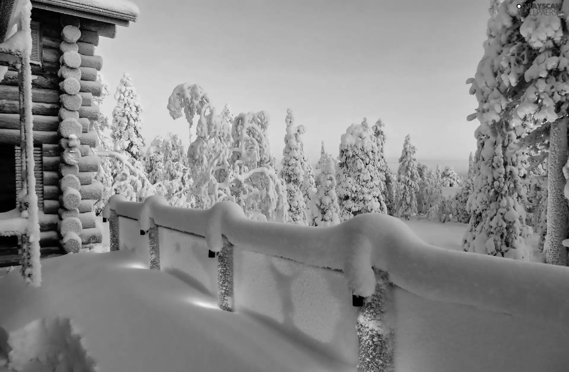 snow, winter, viewes, Home, trees