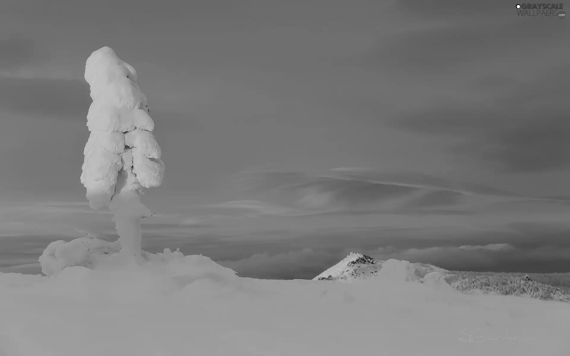 winter, Mountains, trees, snow