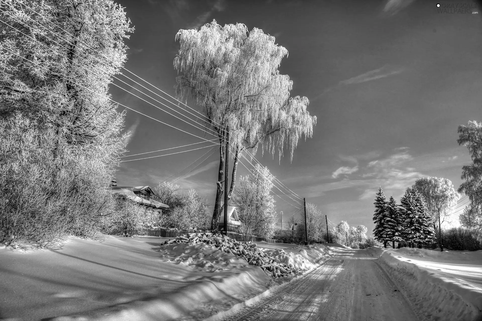 snow, winter, viewes, Way, trees