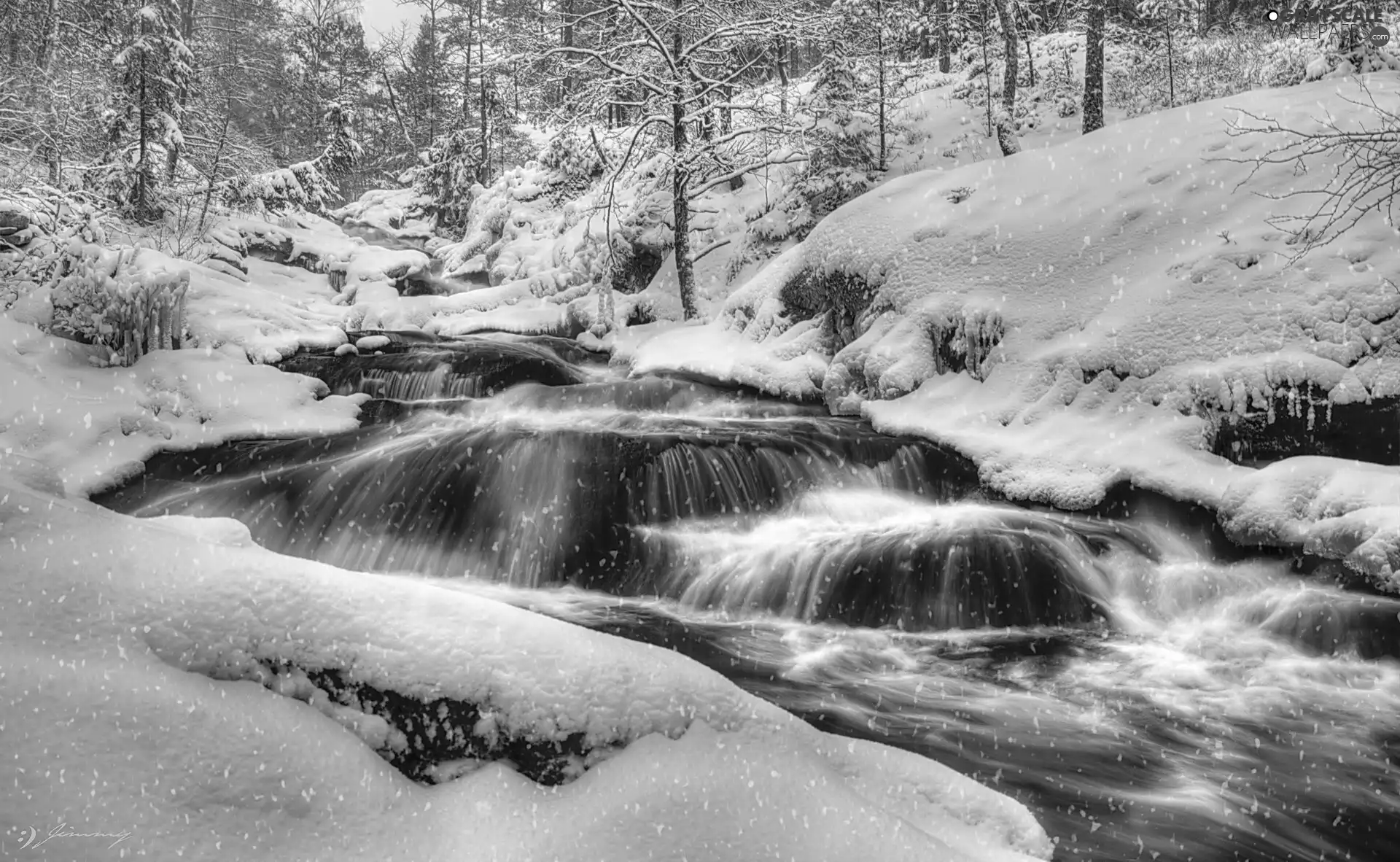 Cascades, forest, snow, winter, water, River