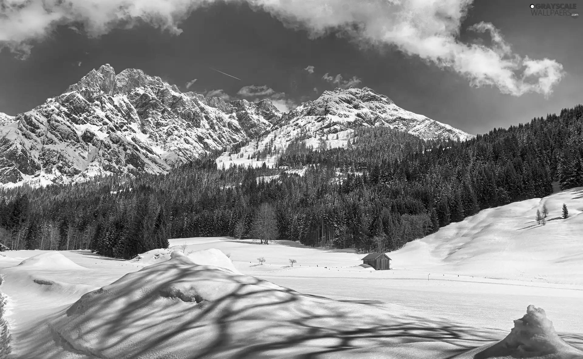 snow, Mountains, woods