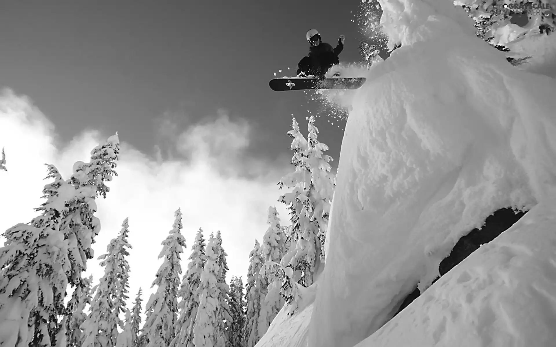 snow, viewes, snowboard, trees
