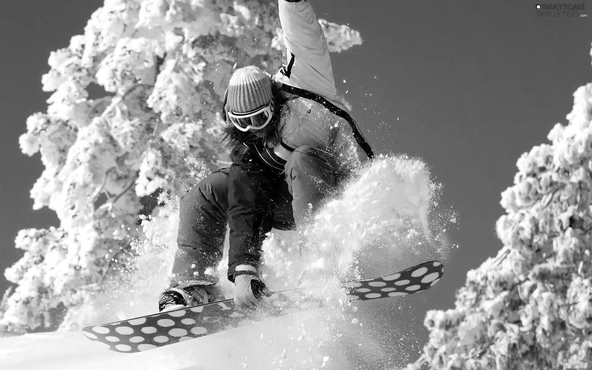snow, Snowbording