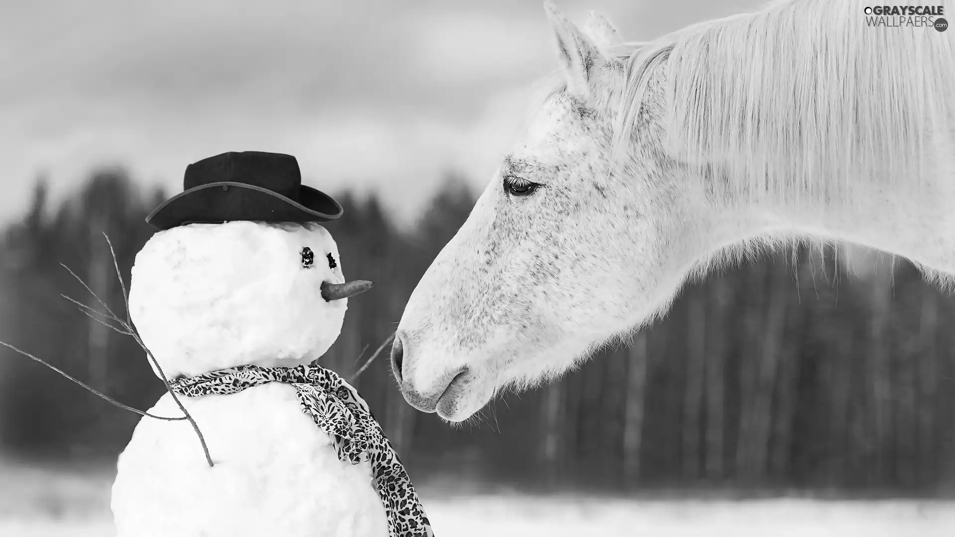 Horse, Snowman