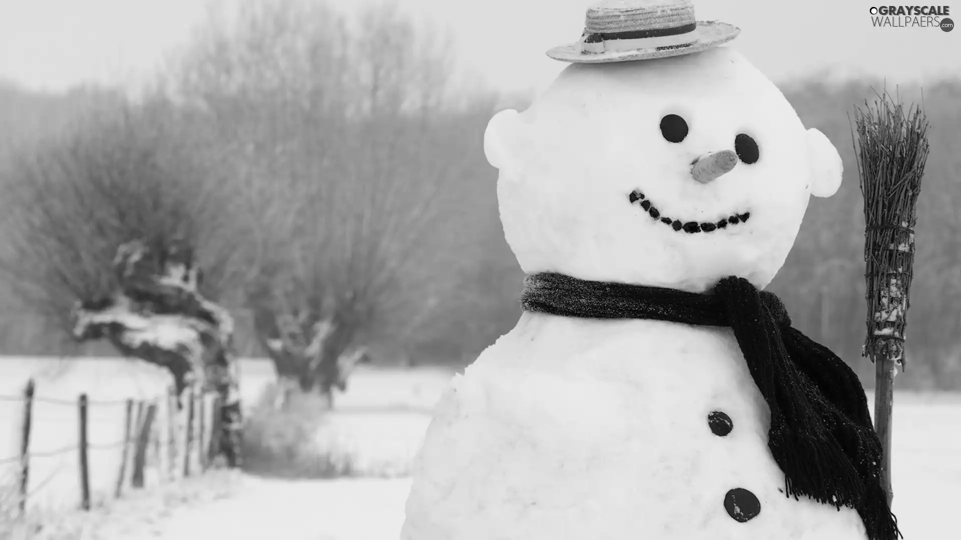 Snowman, winter, trees, viewes, field