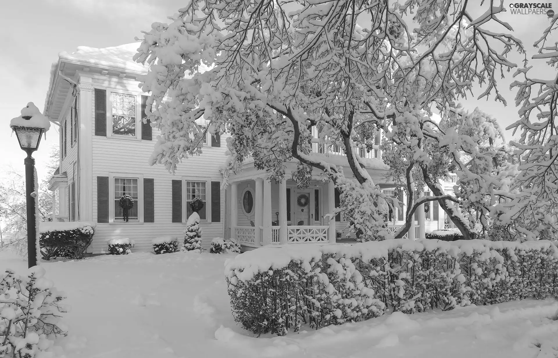 trees, house, Bush, Snowy, winter, viewes, Lighthouse