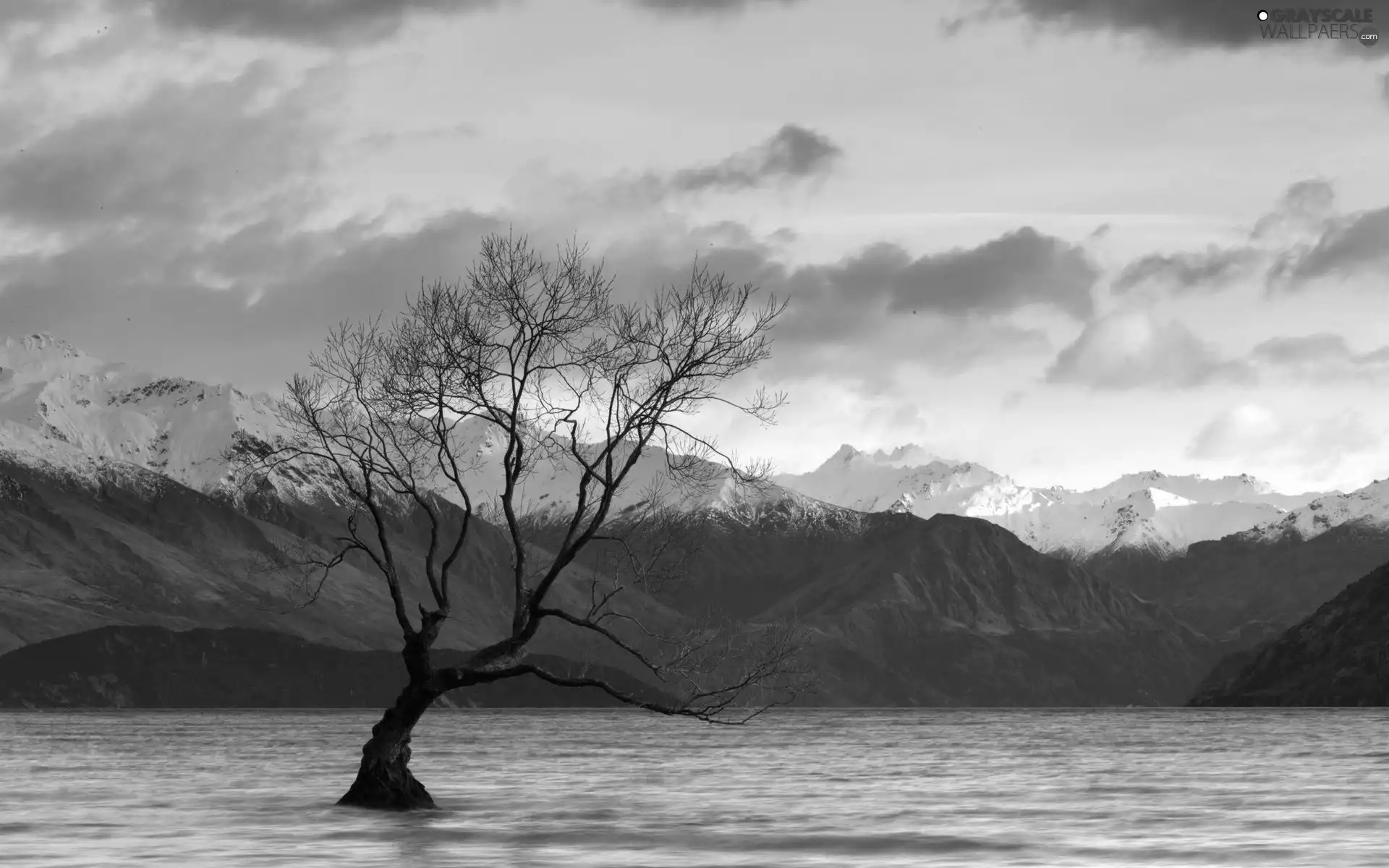 Snowy, Mountains, trees, lake, lonely