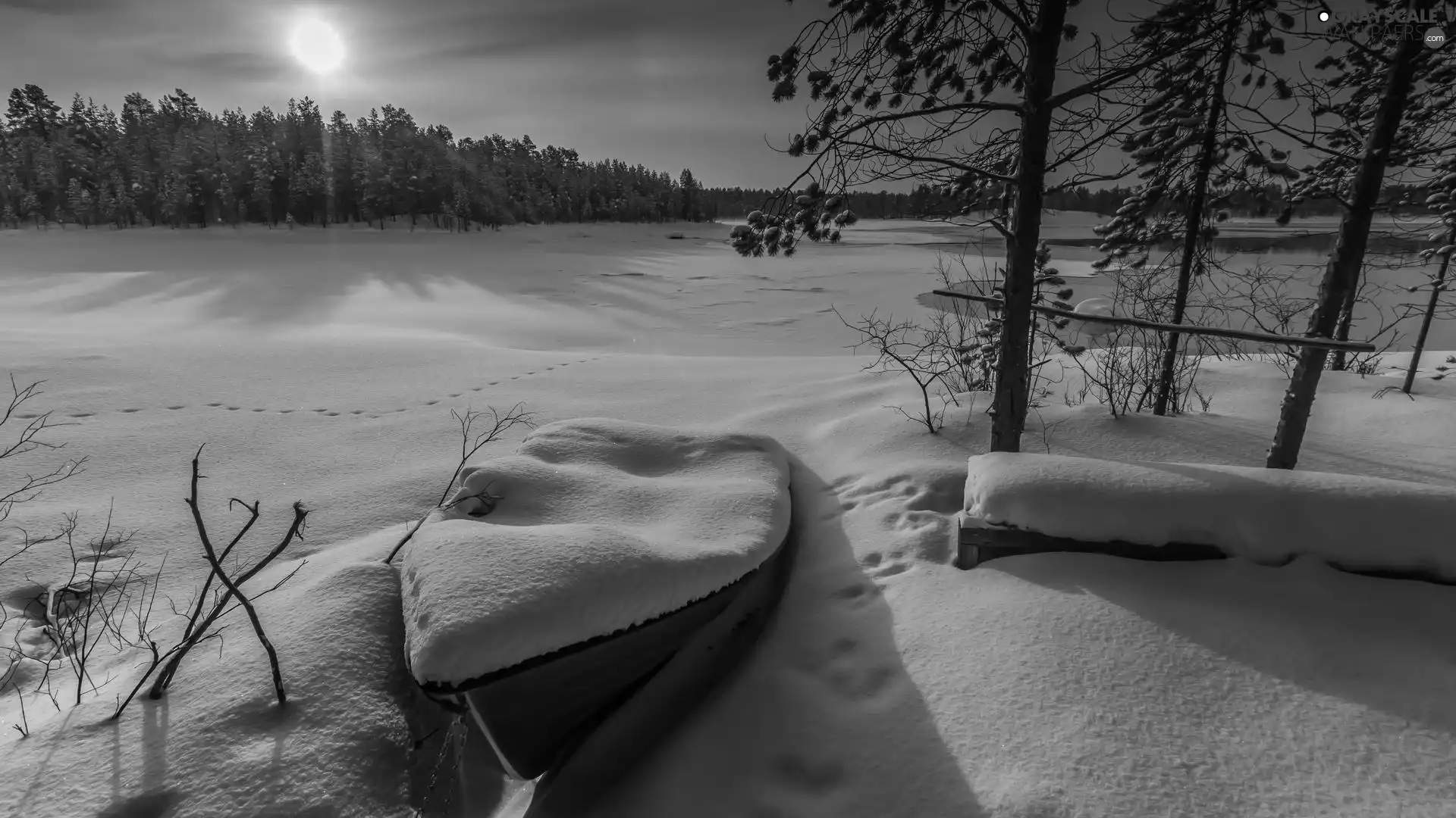 snowy, winter, lake, Boat, sun, traces, trees, viewes, snow