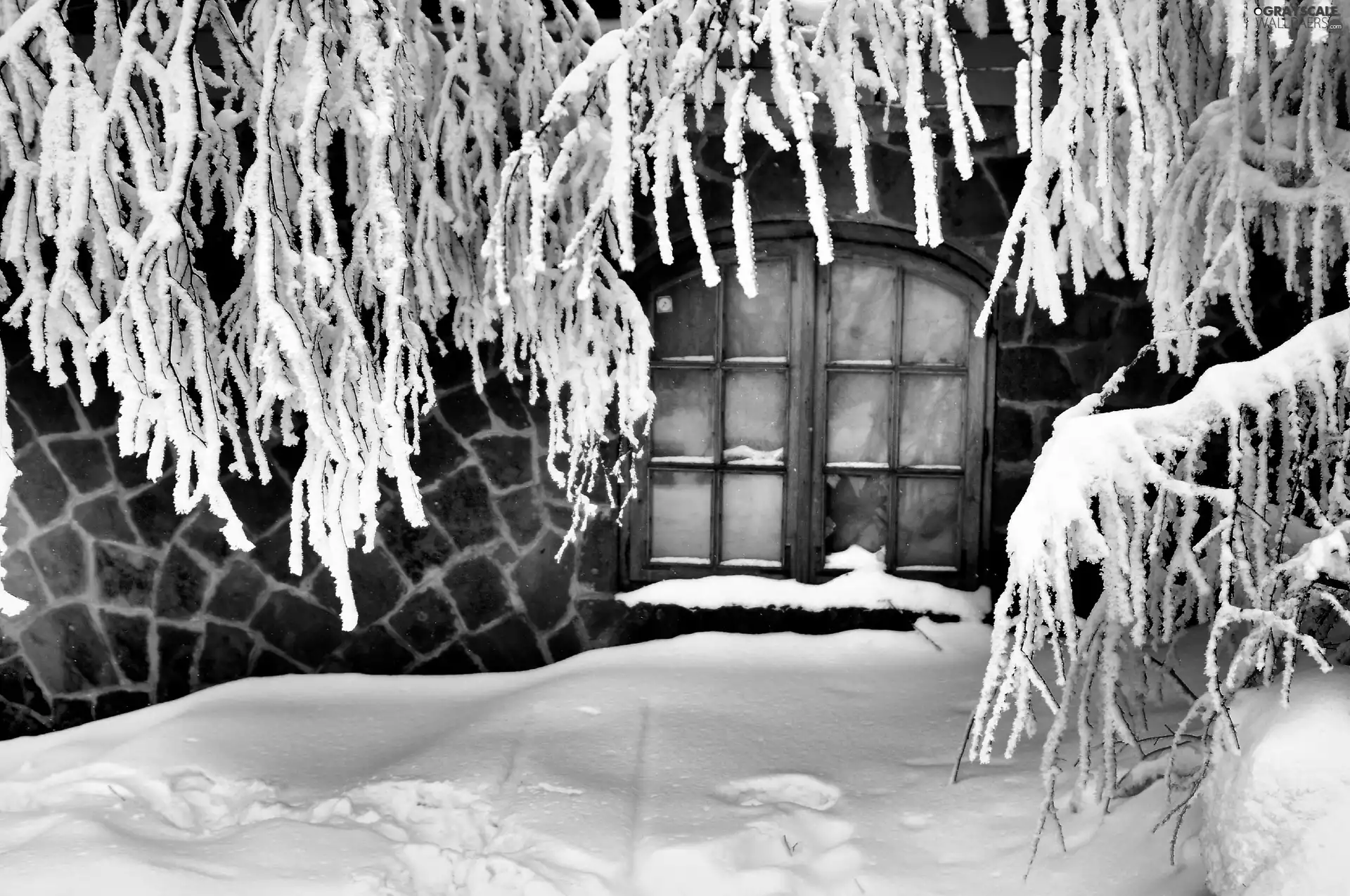 Snowy, Twigs, house, Window, winter