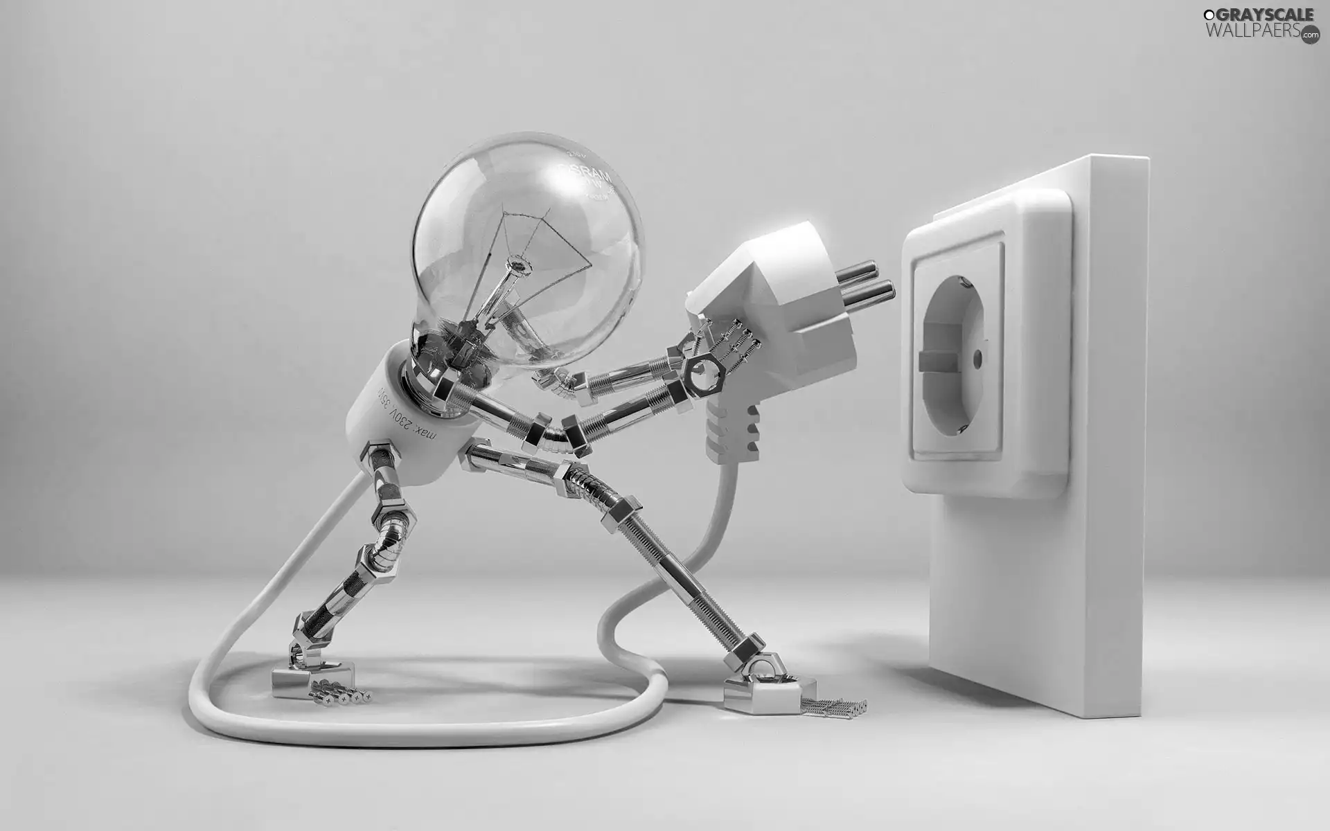 socket, bulb, plug