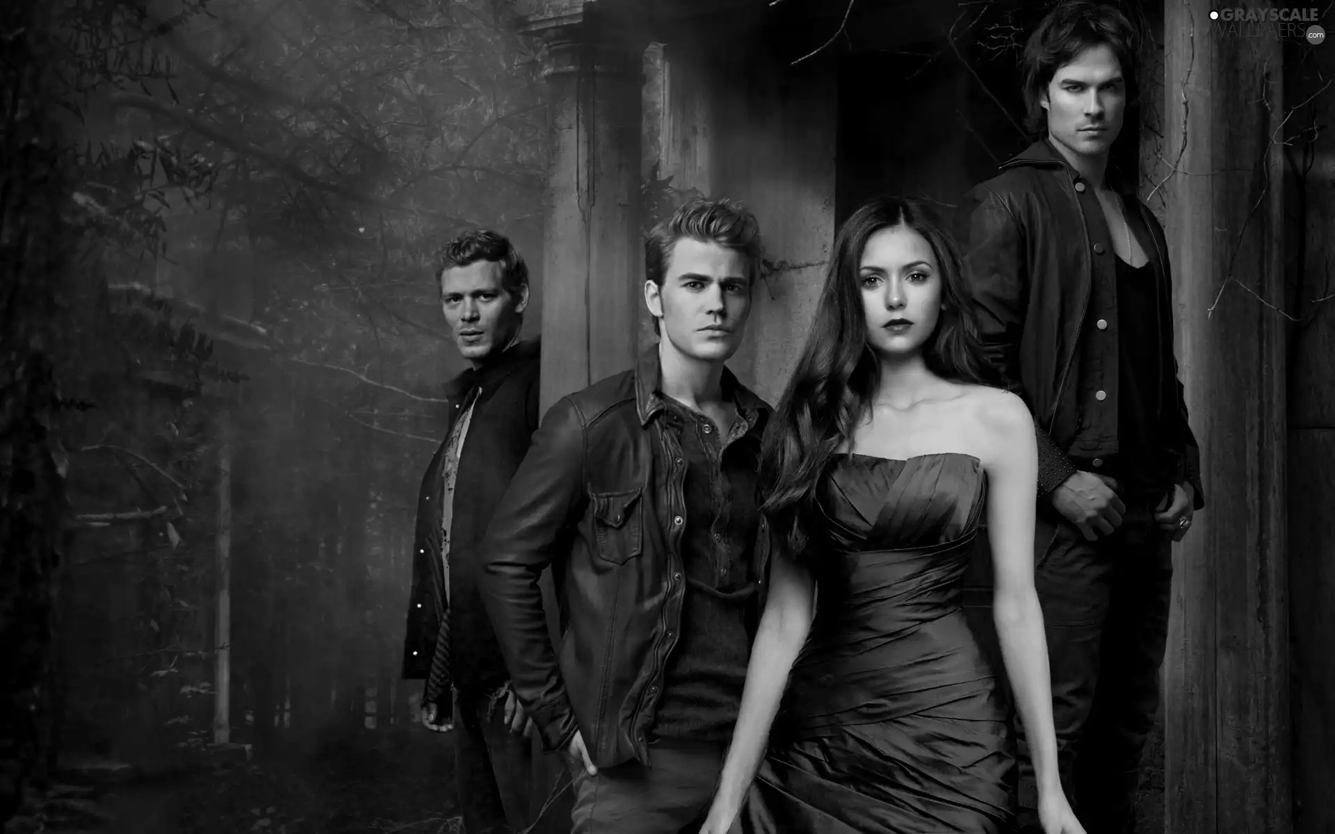 Joseph Morgan, The Vampire Diaries, Paul Wesley, ian somerhalder, Nina Dobrev, The Vampire Diaries