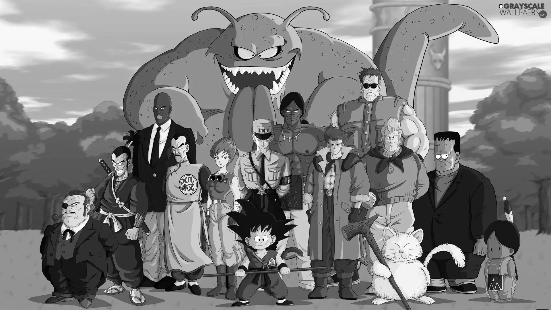 team, Dragon Ball, Son Goku