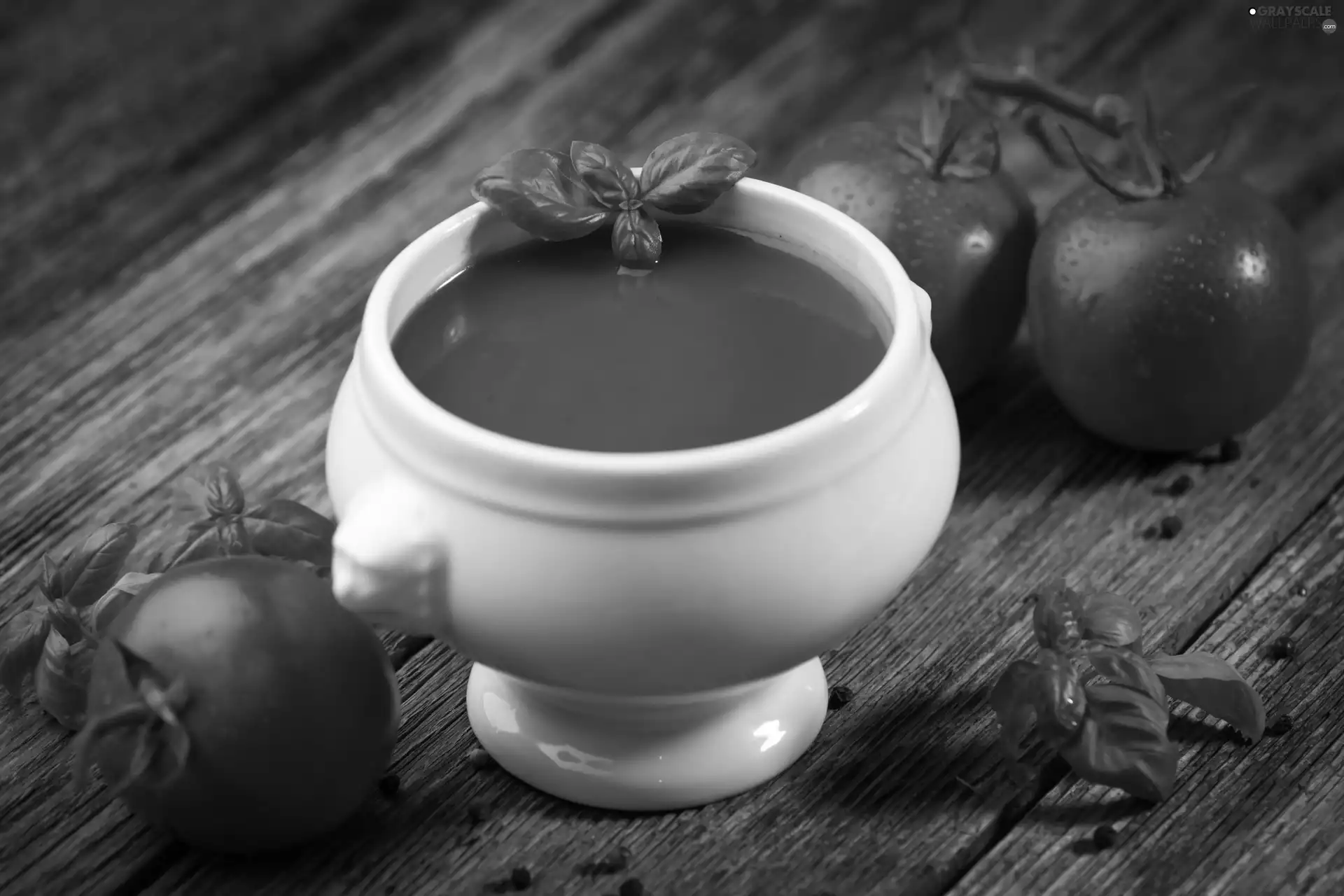 basil, tomatoes, tomato soup