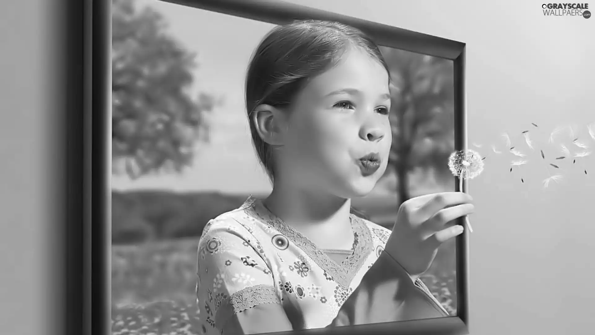 girl, puffball, sow-thistle, TV