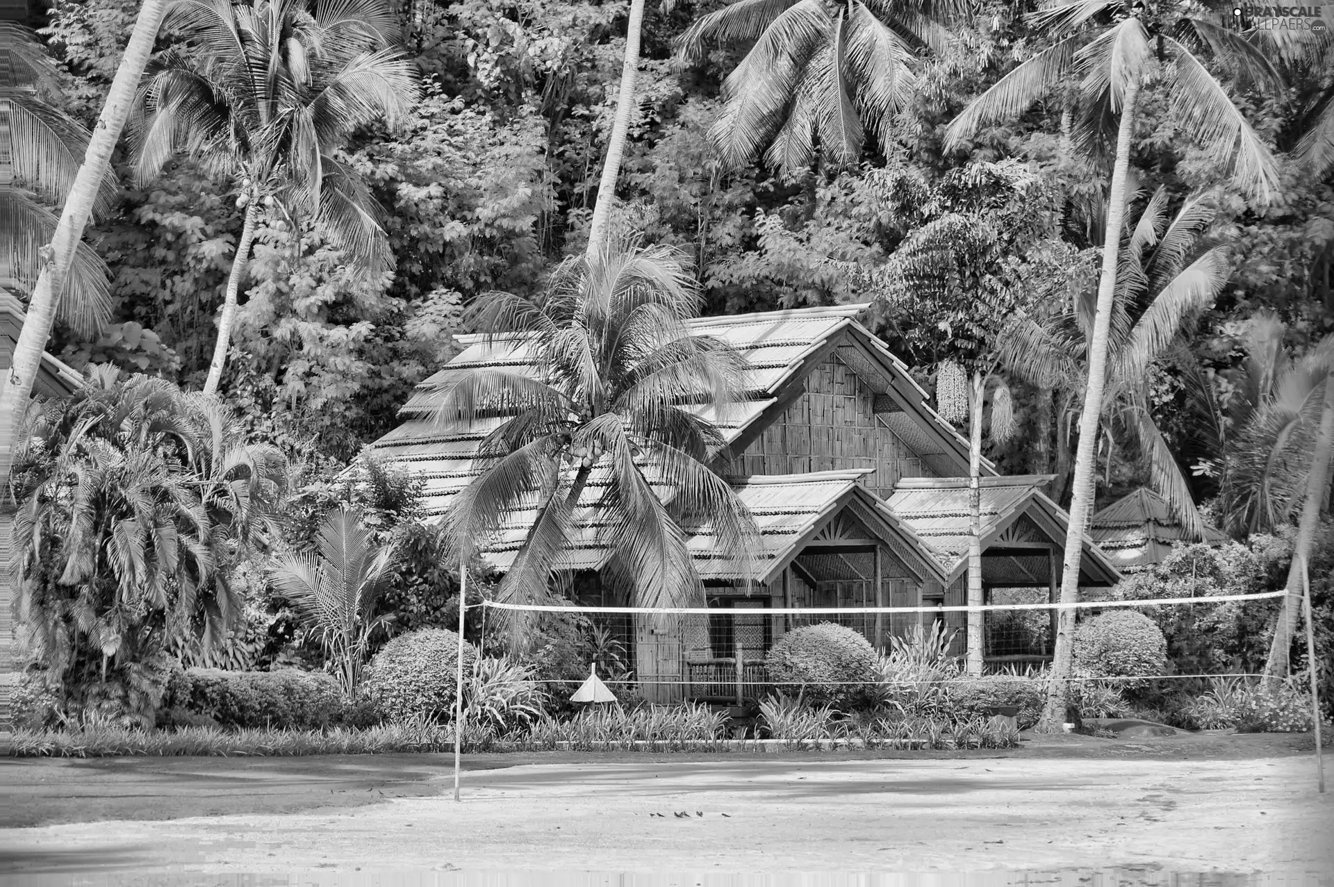 spa, Palms, Davao, Philippines, Samal Island, Home