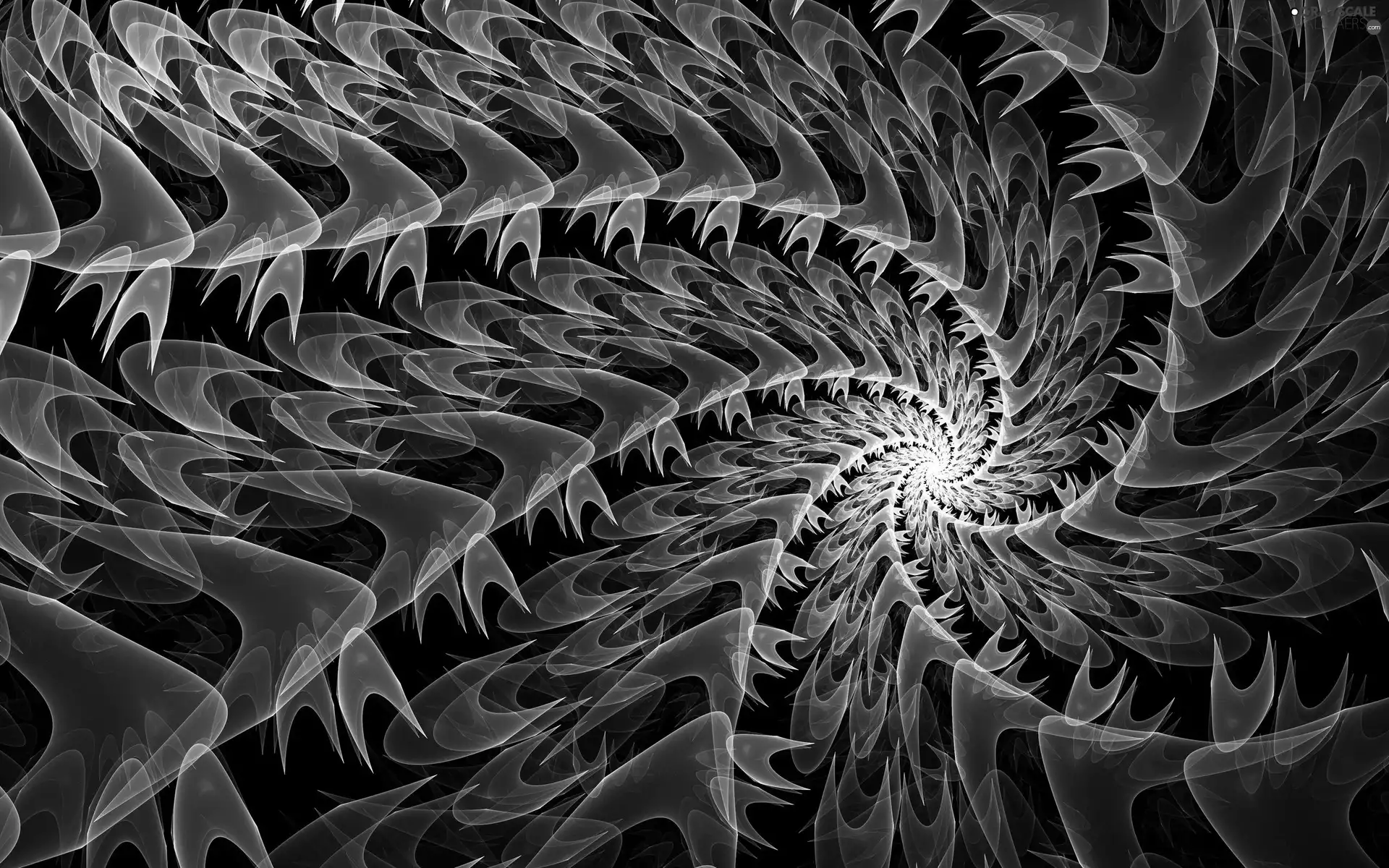 spiral, Fraktal