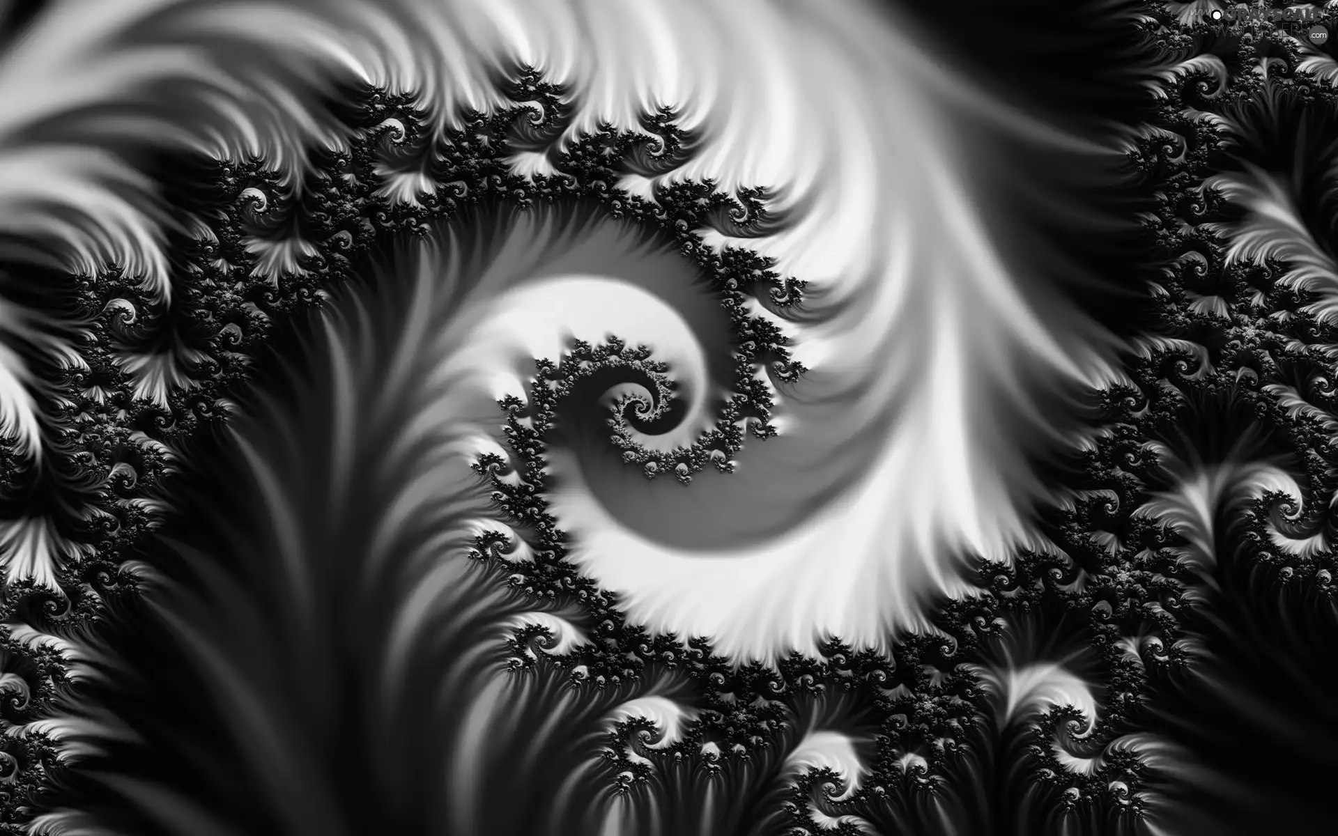 Fraktal, spirals