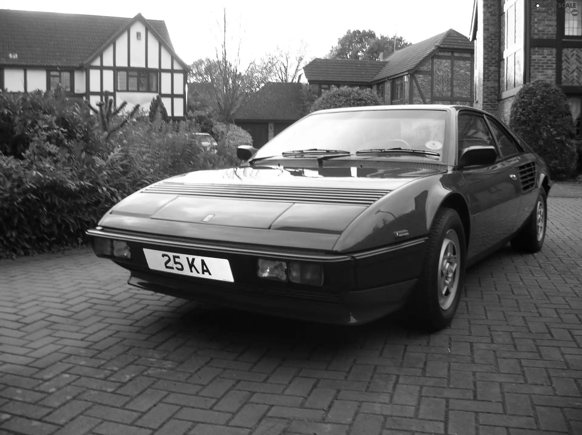 model, Ferrari Mondial, Sport