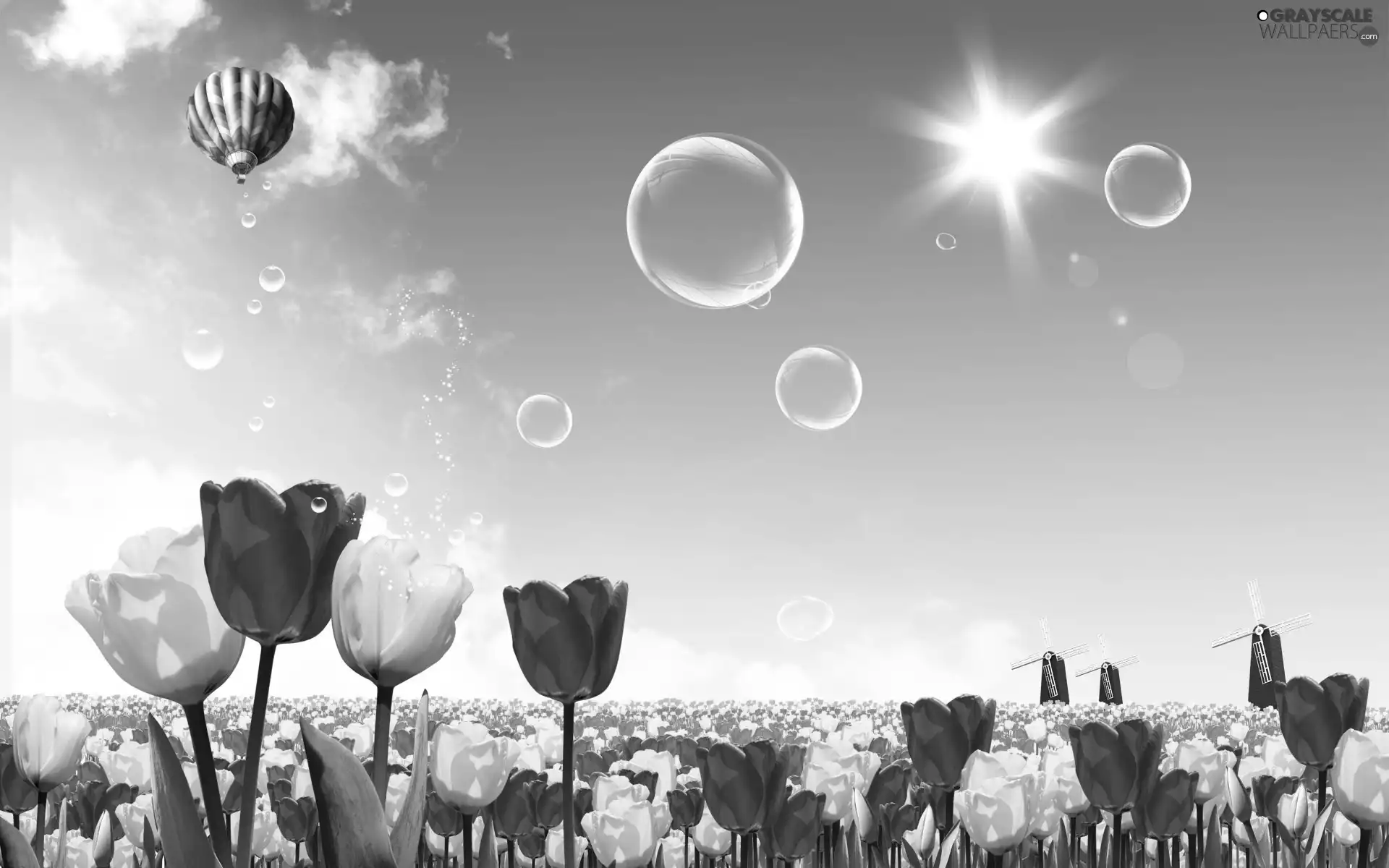 Spring, Tulips, Balloon