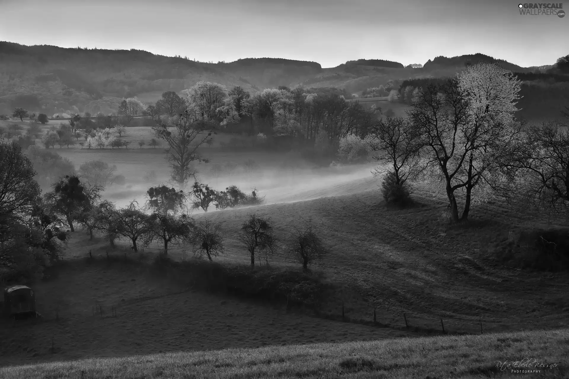 viewes, The Hills, Spring, Sunrise, Fog, trees