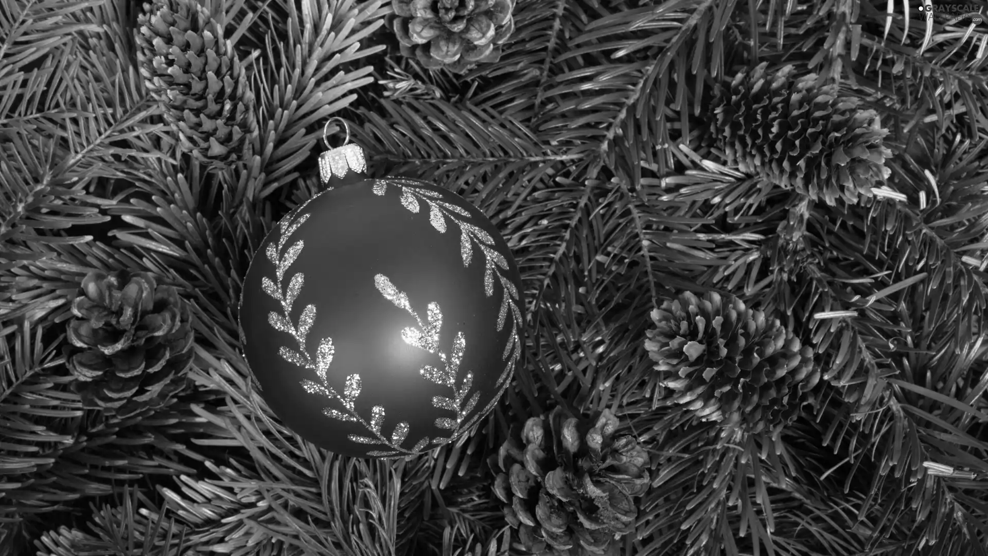 bauble, Twigs, cones, spruce