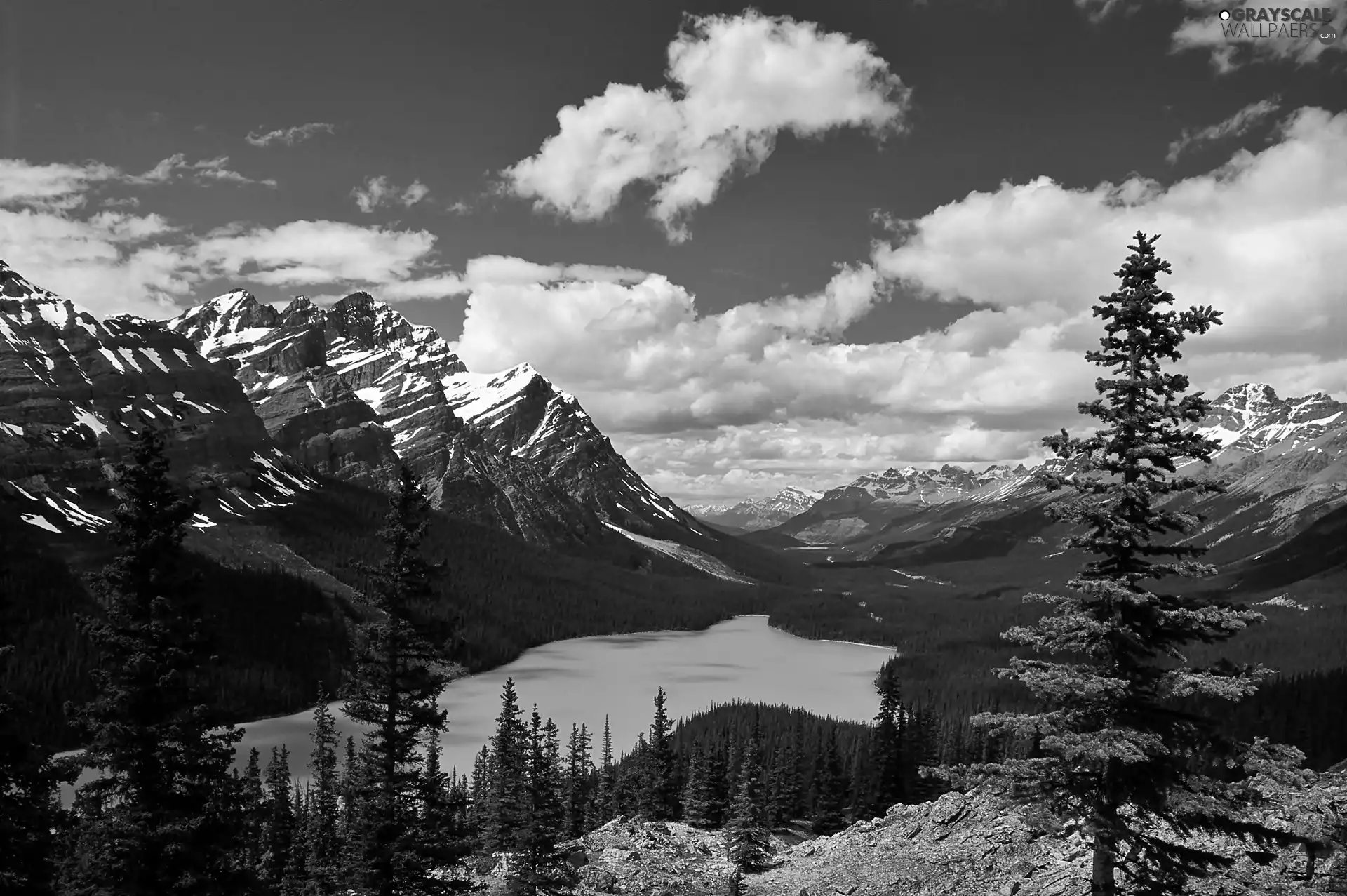 lake, Montana, Spruces, clouds, woods, Mountains