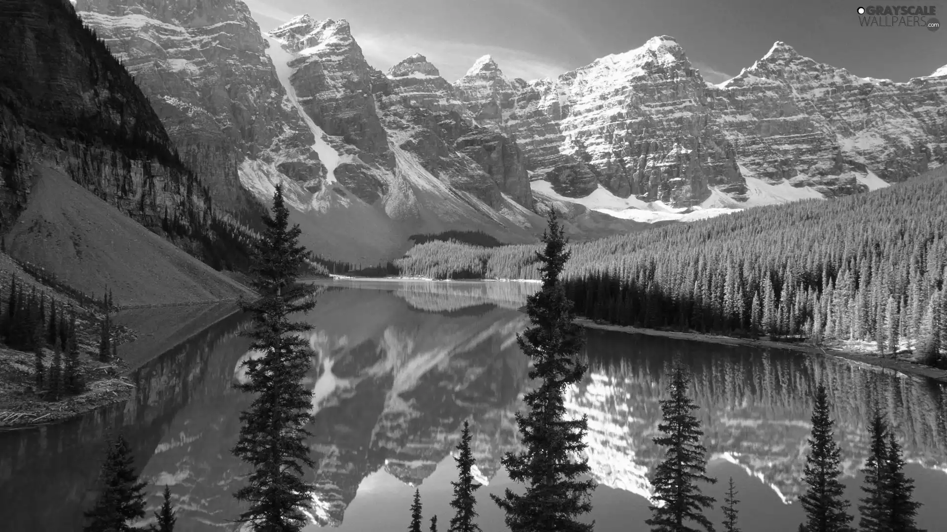 mountainous, lake, Spruces, landscape