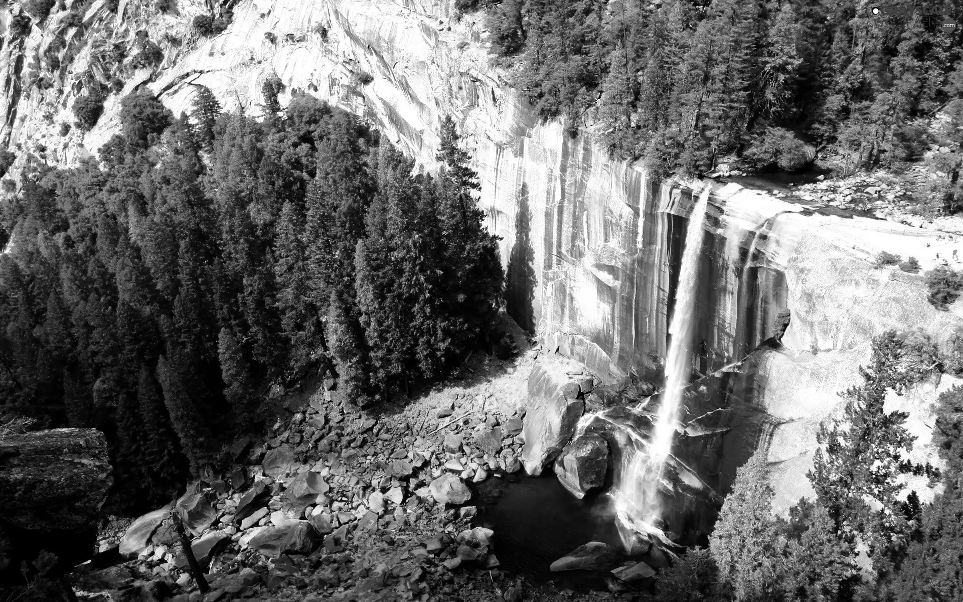 Spruces, Mountains, waterfall