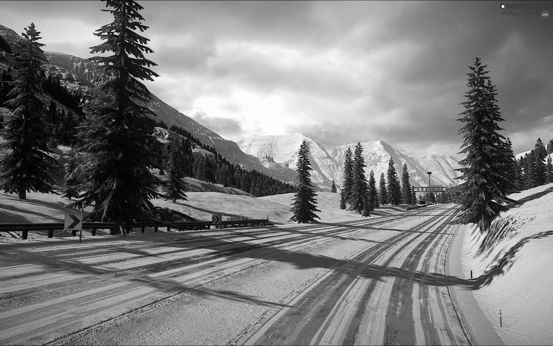 winter, Mountains, Spruces, Way