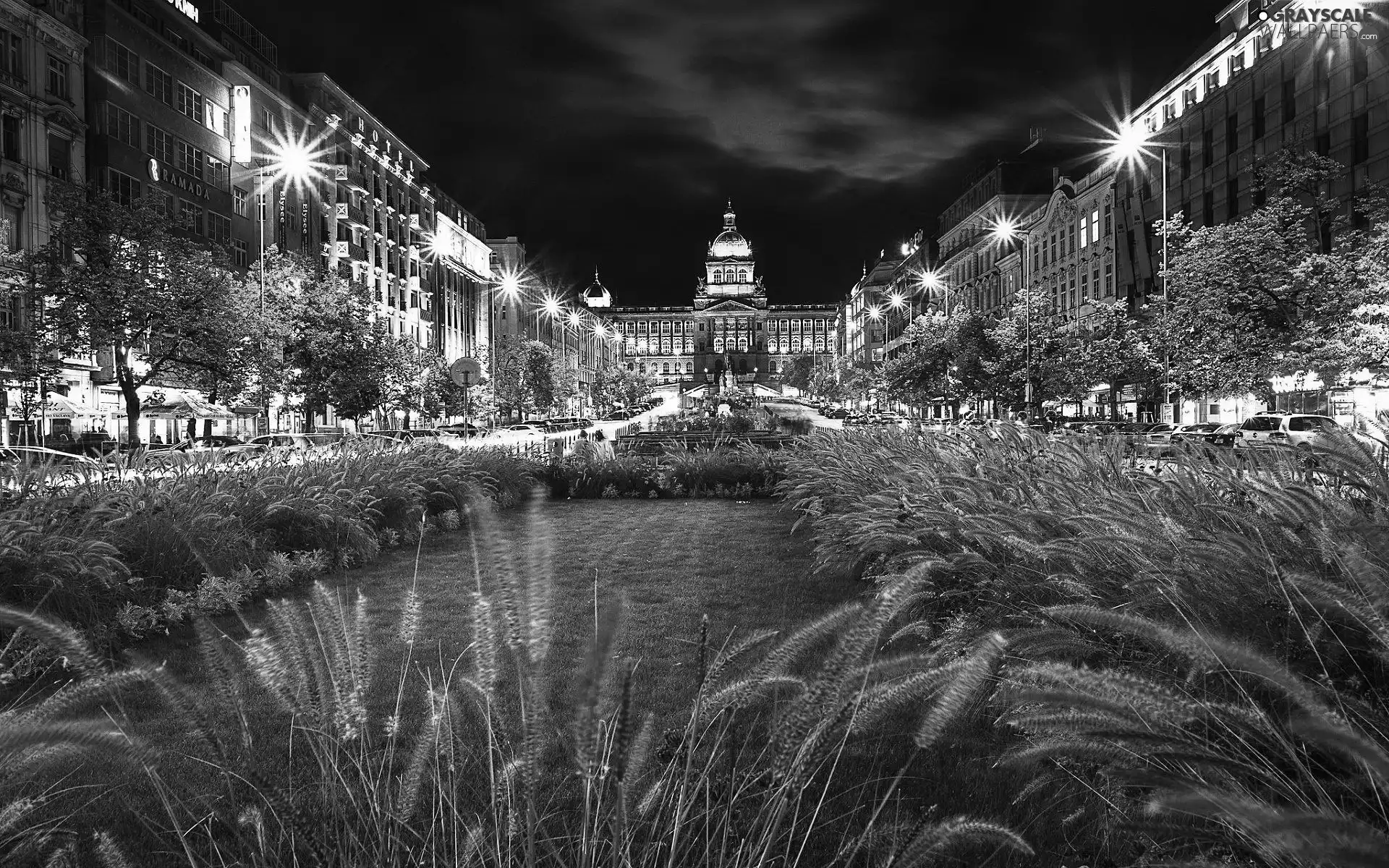 Wenceslas Square, Czech Republic, Street, City at Night, National Museum, Prague