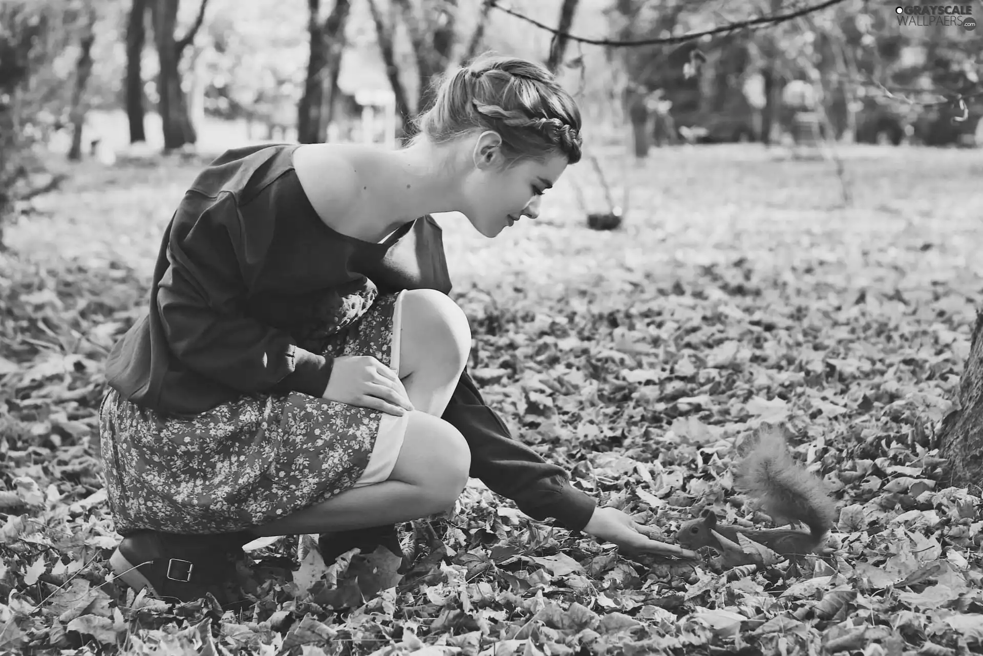 Women, Park, squirrel, light brown