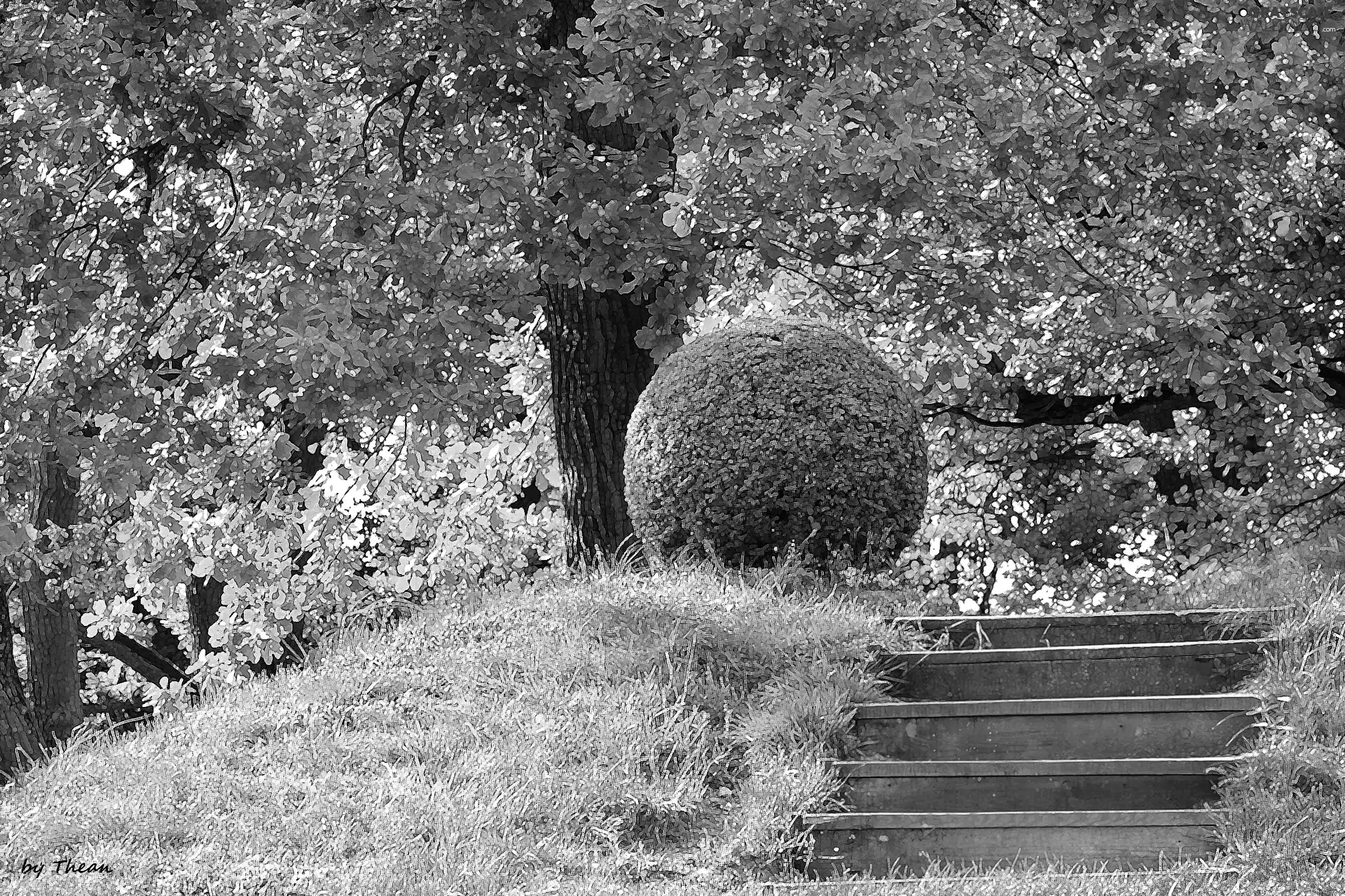 Park, Stairs