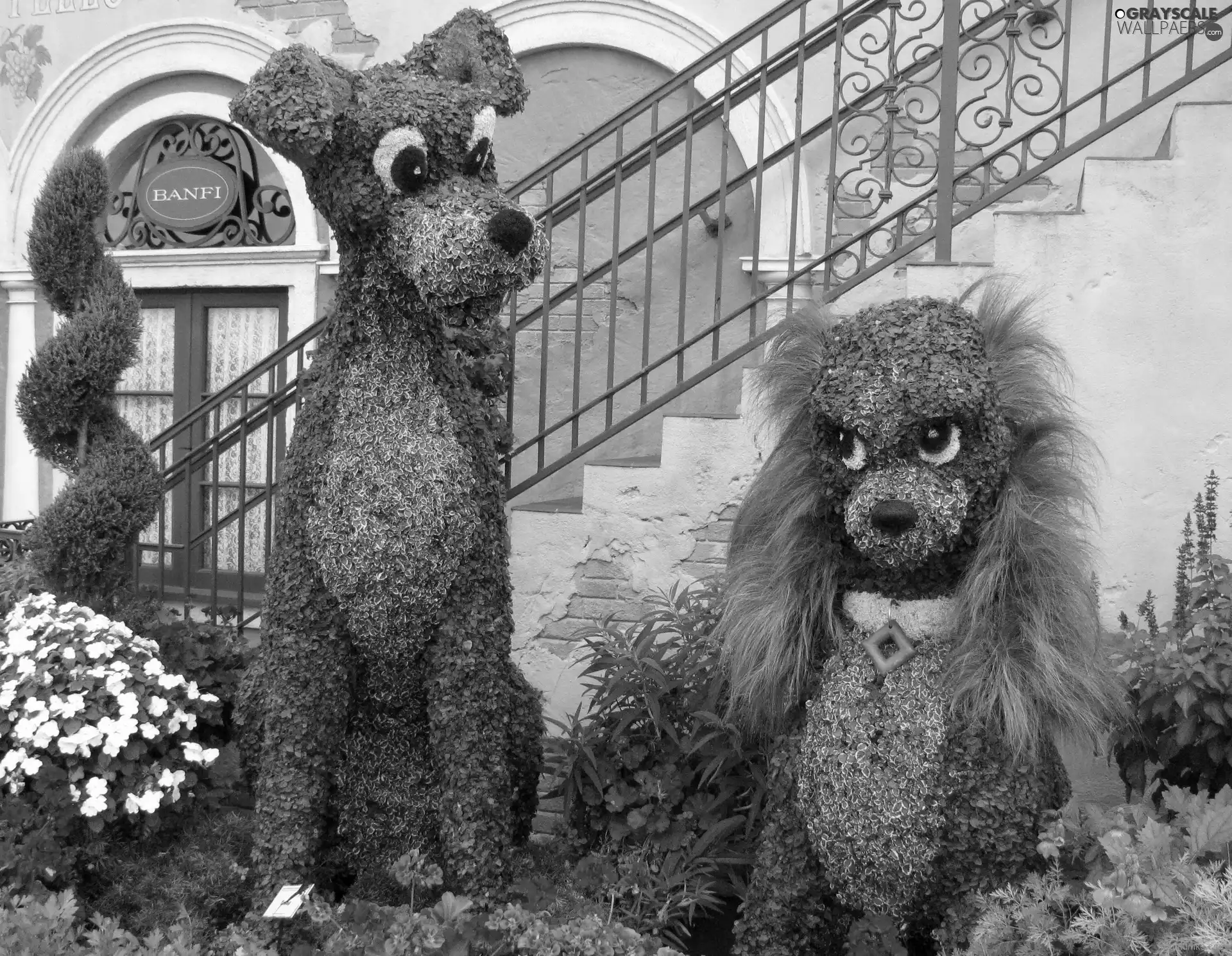 Stairs, Floral, puppies