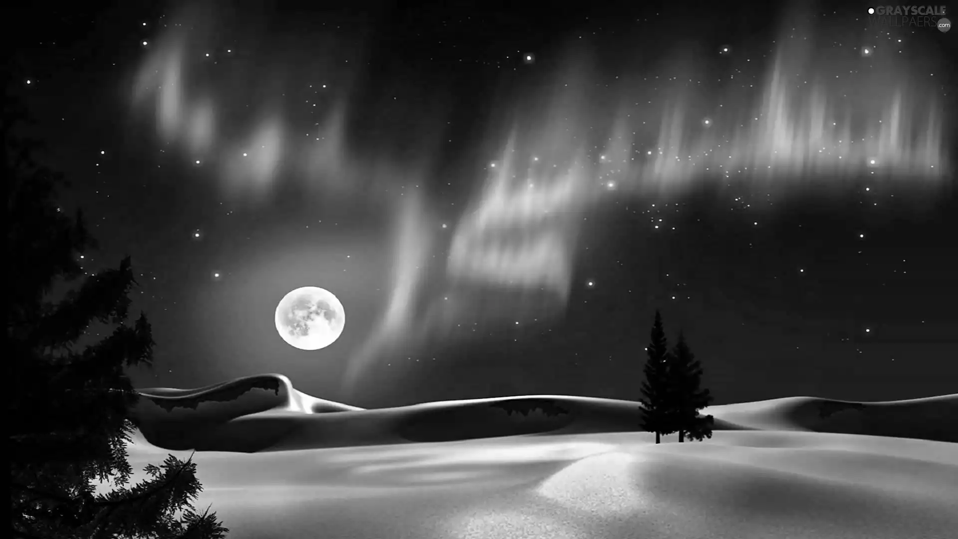 moon, field, dawn, Spruces, winter, star, Polaris