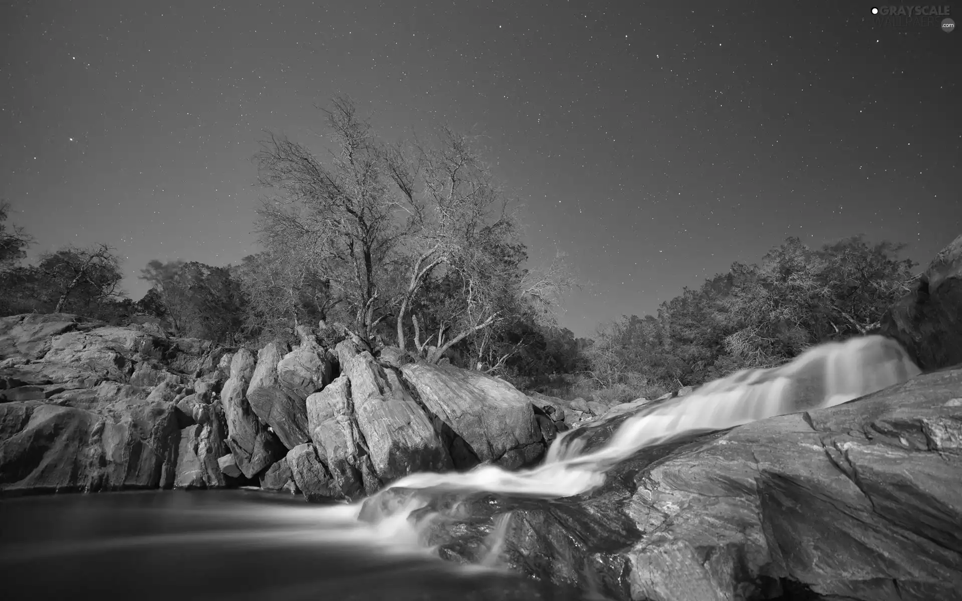 trees, brook, Starlit, Sky, viewes, rocks