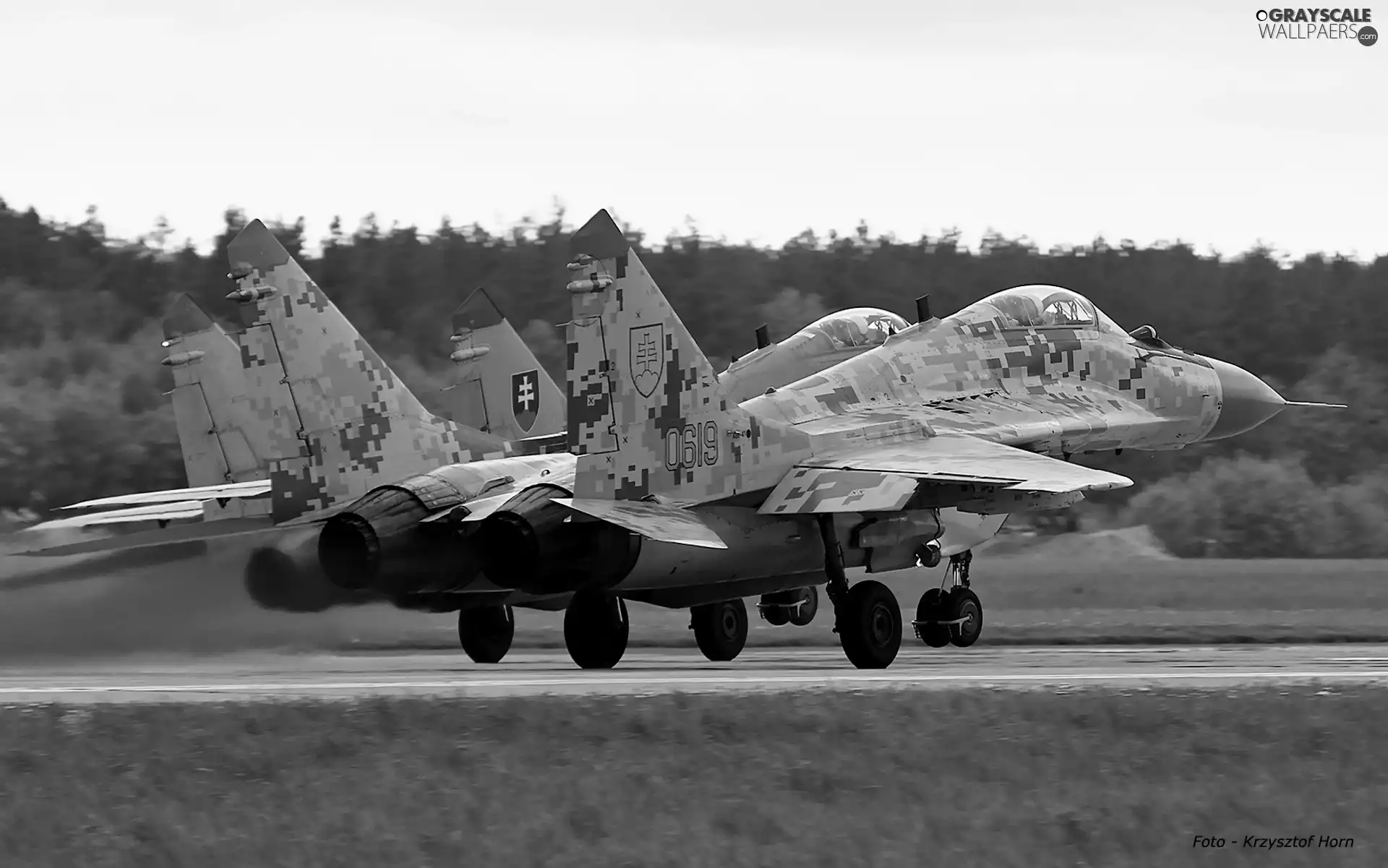 common, MiG-29, Start