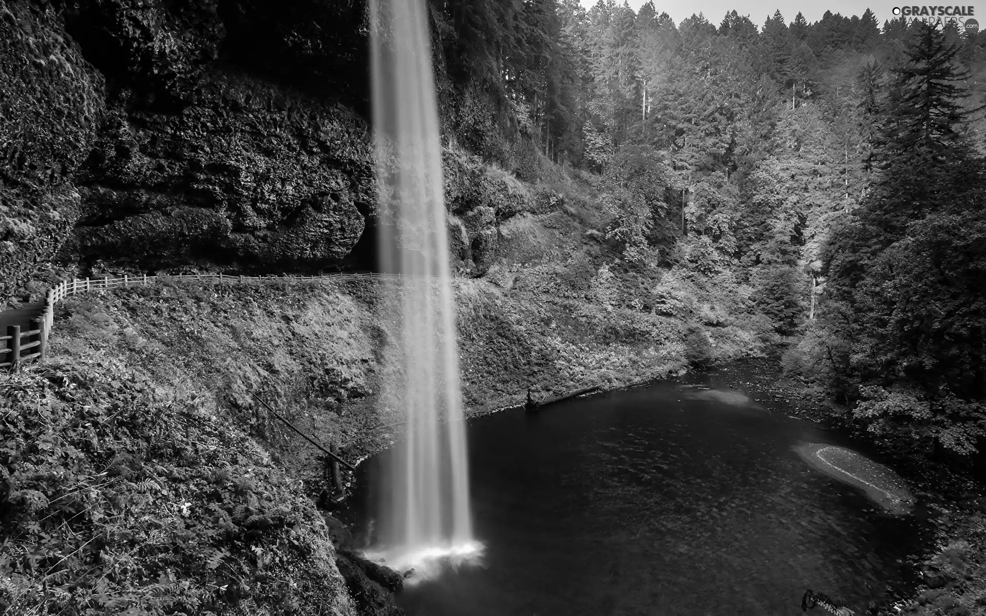 VEGETATION, forest, viewes, State of Oregon, rocks, Waterfall South Falls, trees, The United States, Silver Falls State Park, lake