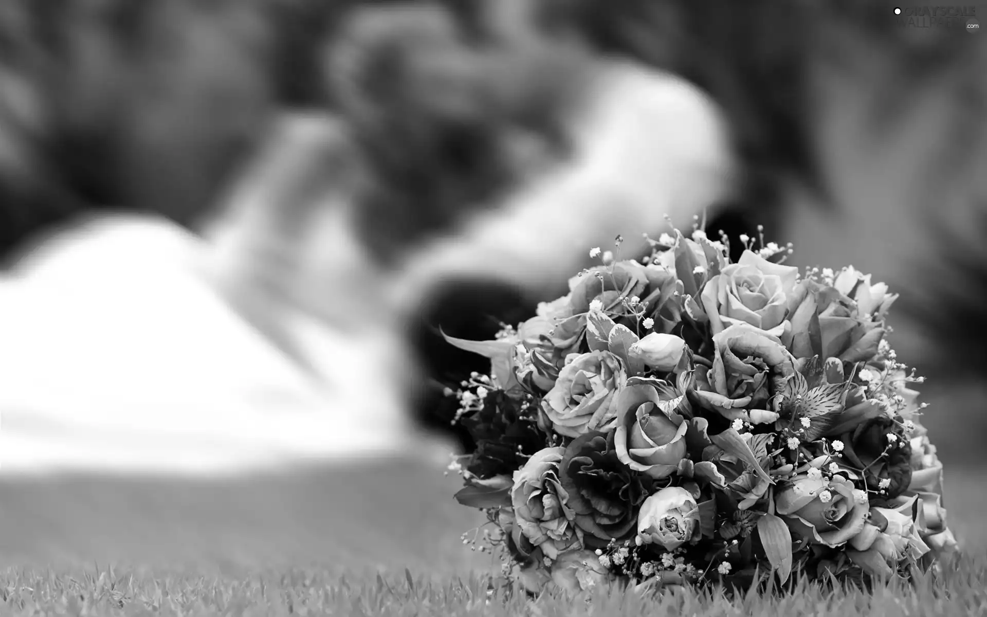 bouquet, young, Steam, flowers