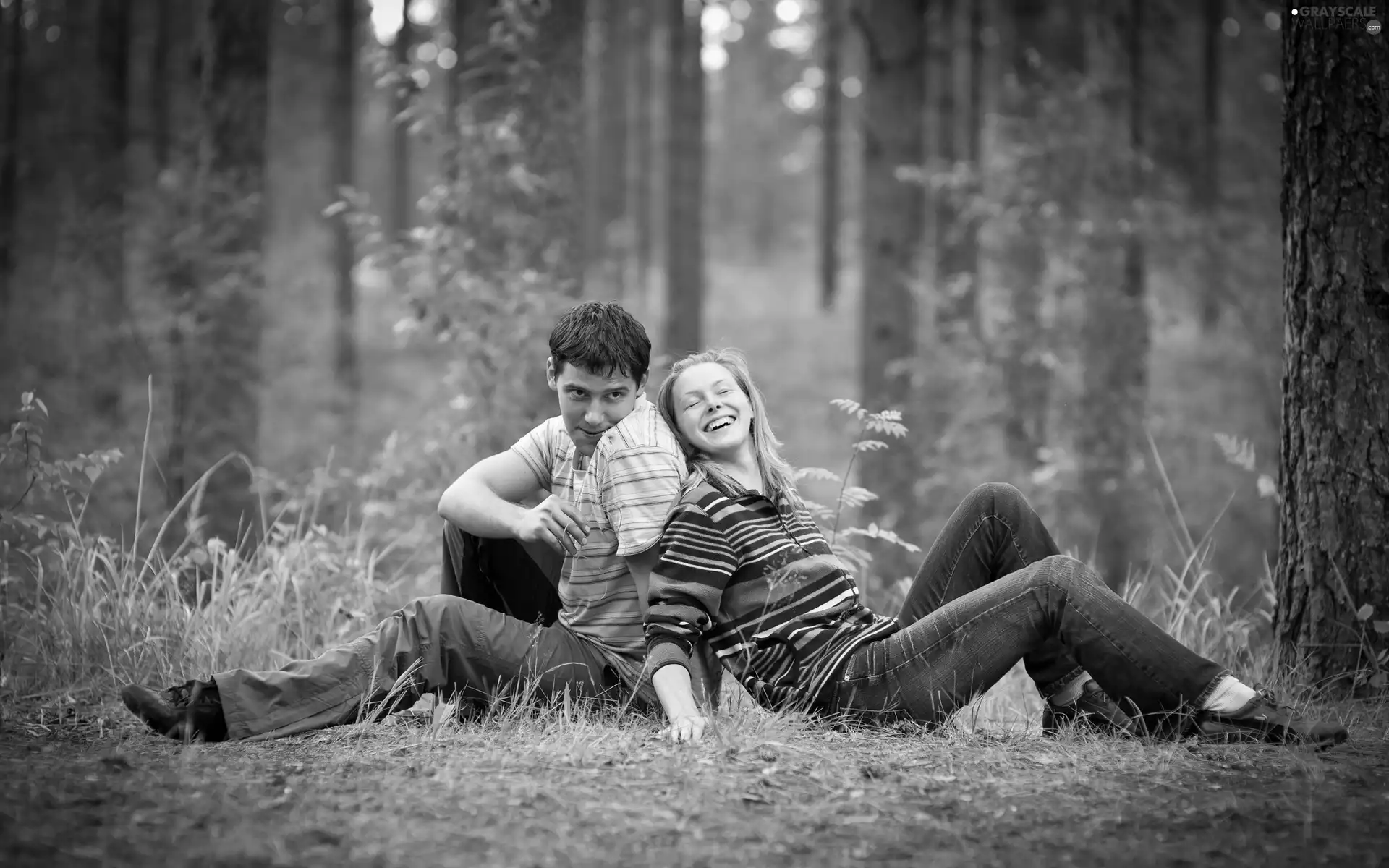 love, joy, car in the meadow, Steam, forest