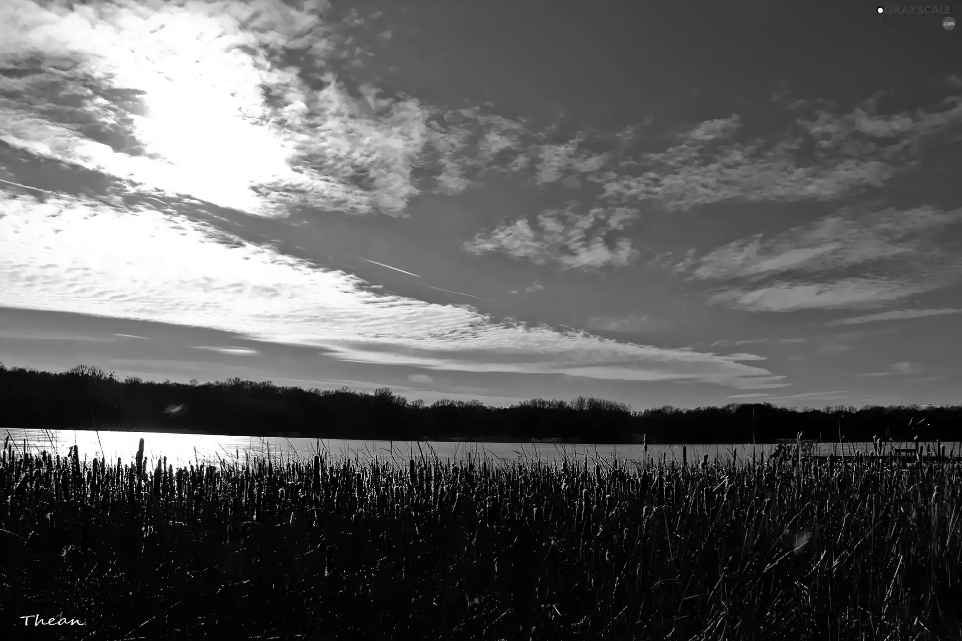 stick, water, Sky, clouds, lake