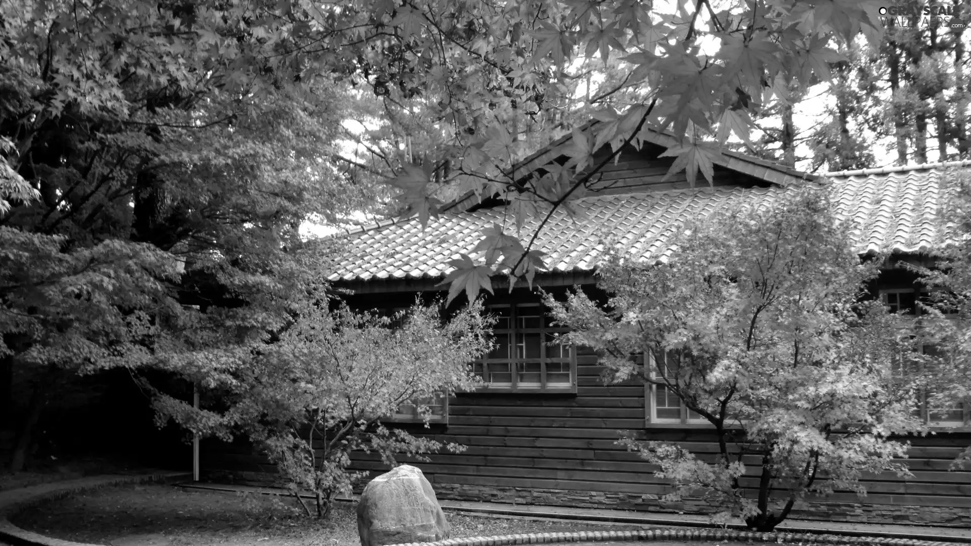 color, trees, stone, Home, Leaf, viewes