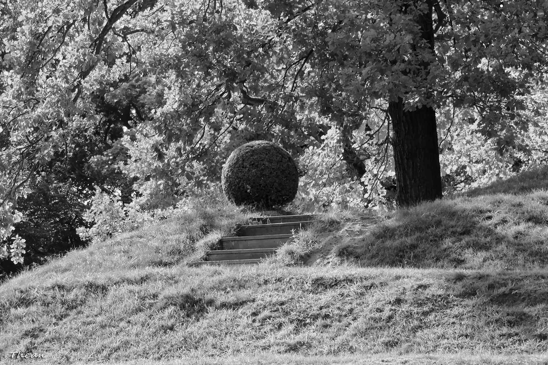 viewes, Park, Stone, Stairs, grass, trees