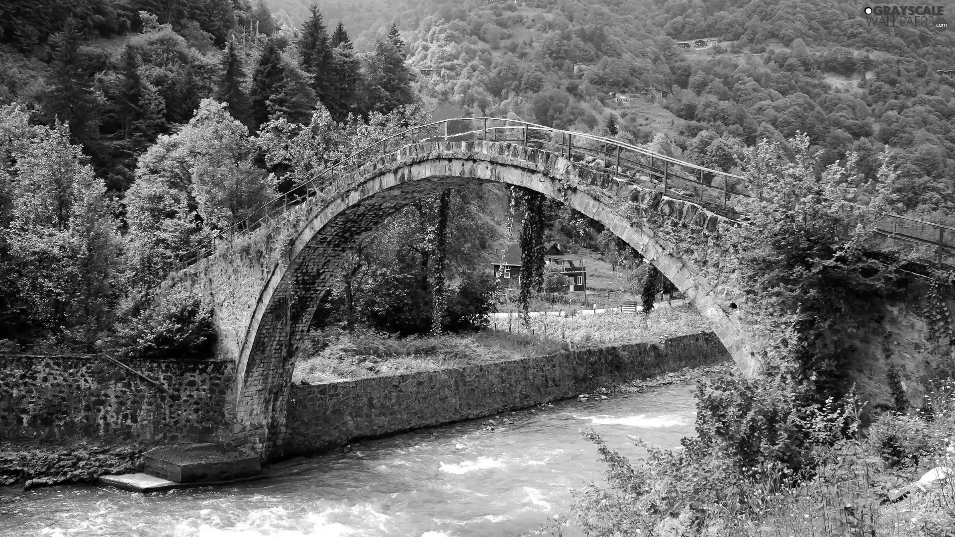 stone, bridge, The Hills, River, forested