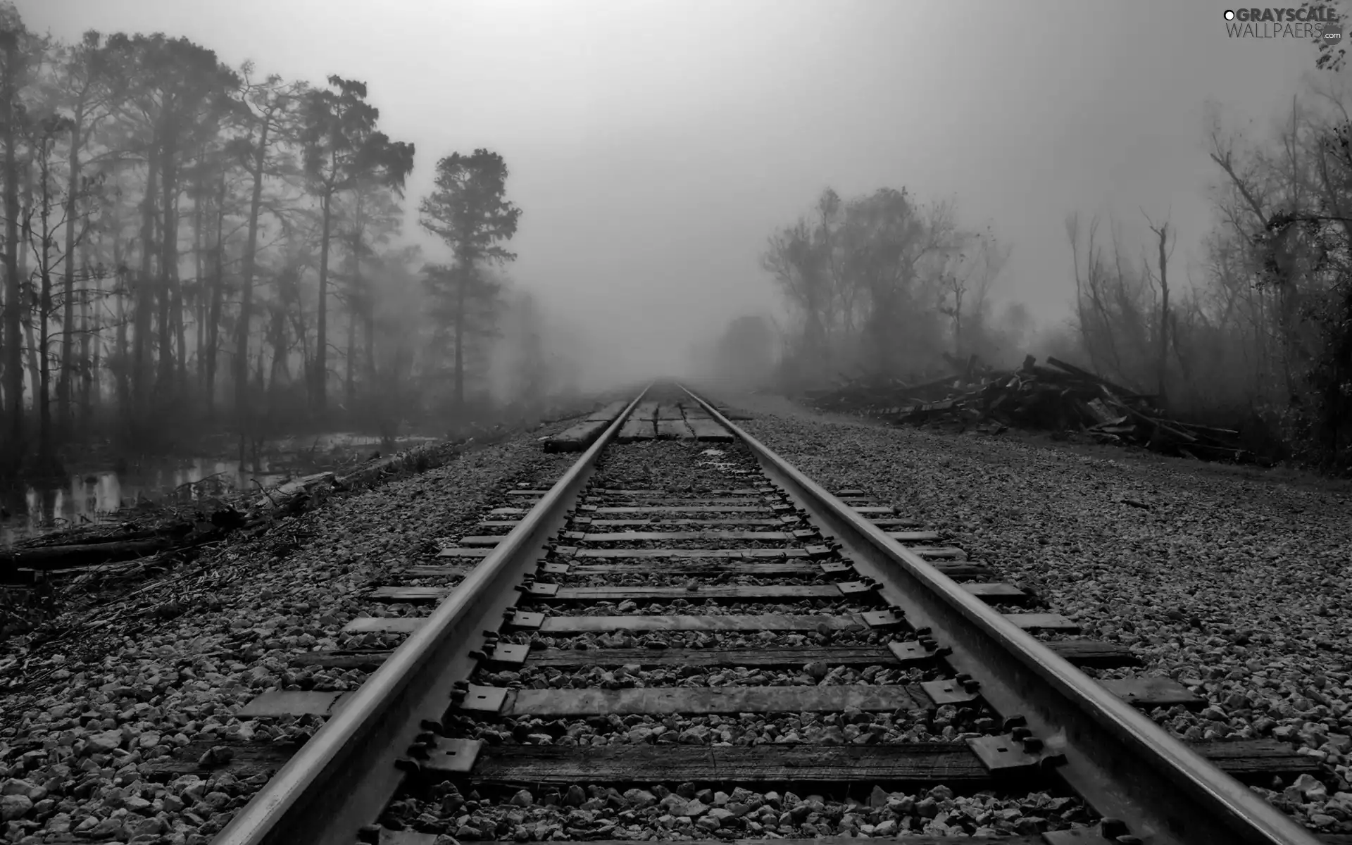 Stones, Fog, ##
