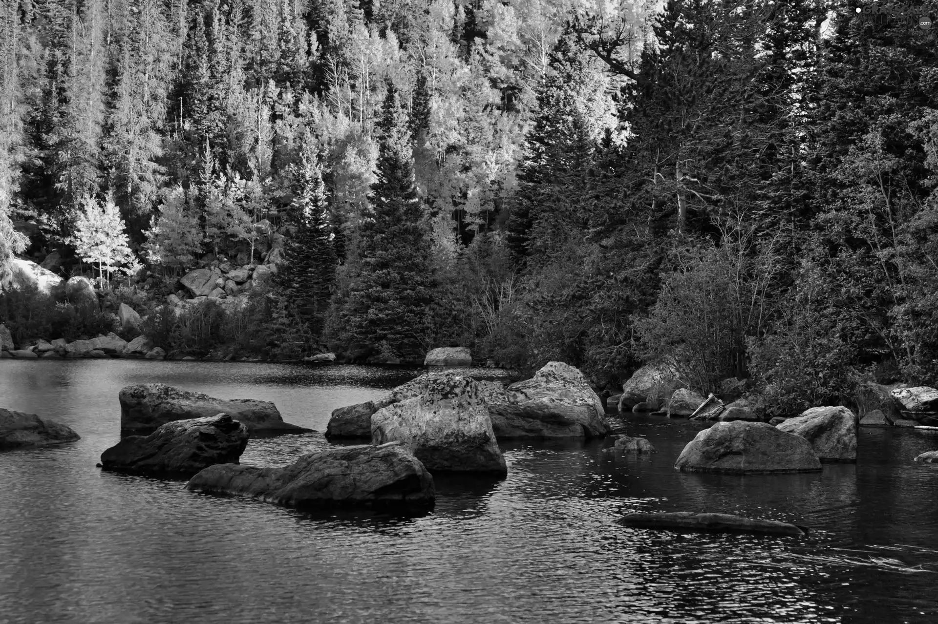 Stones, autumn, Mountains, woods, River