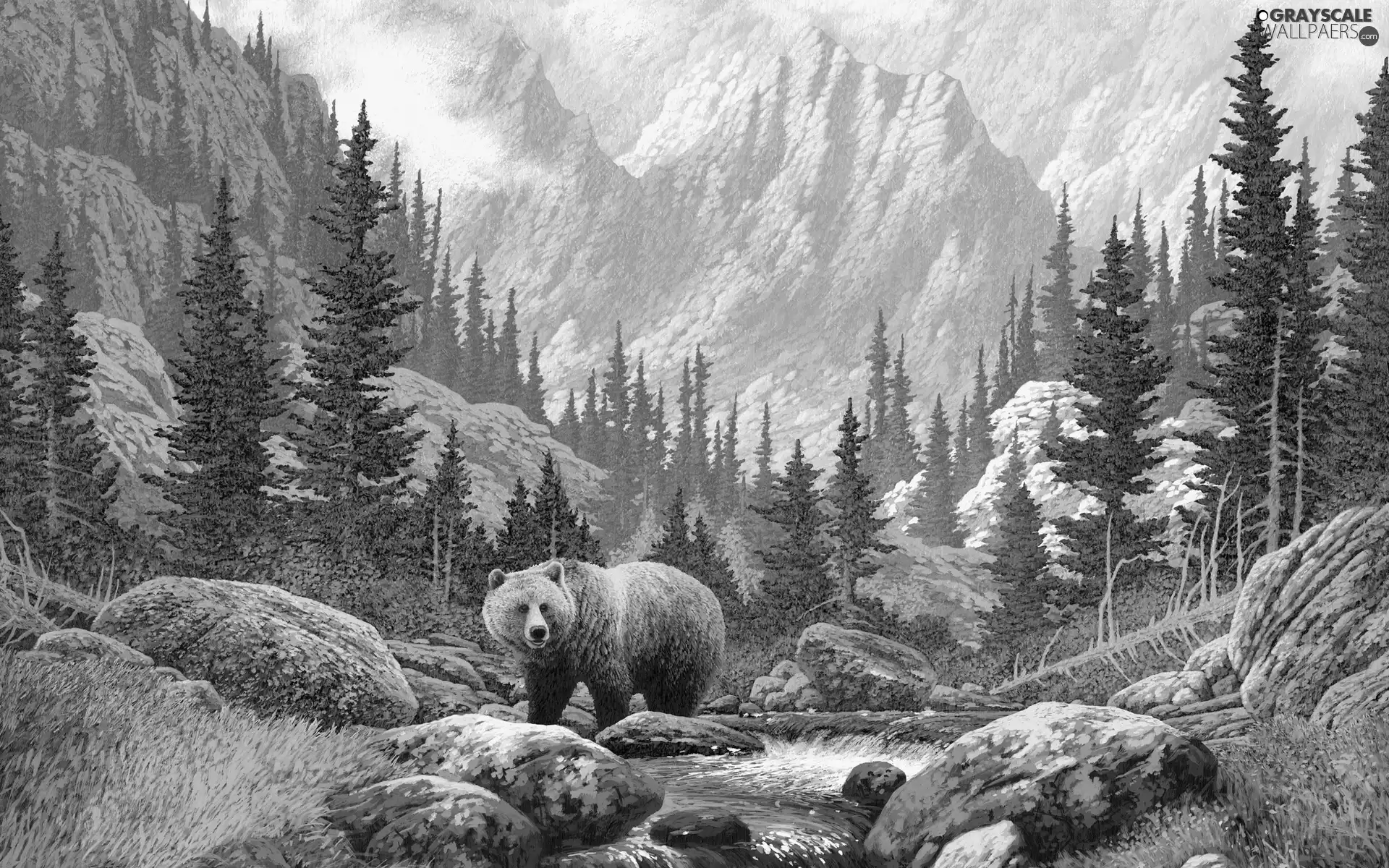 Stones, Bear, River, forest, Mountains