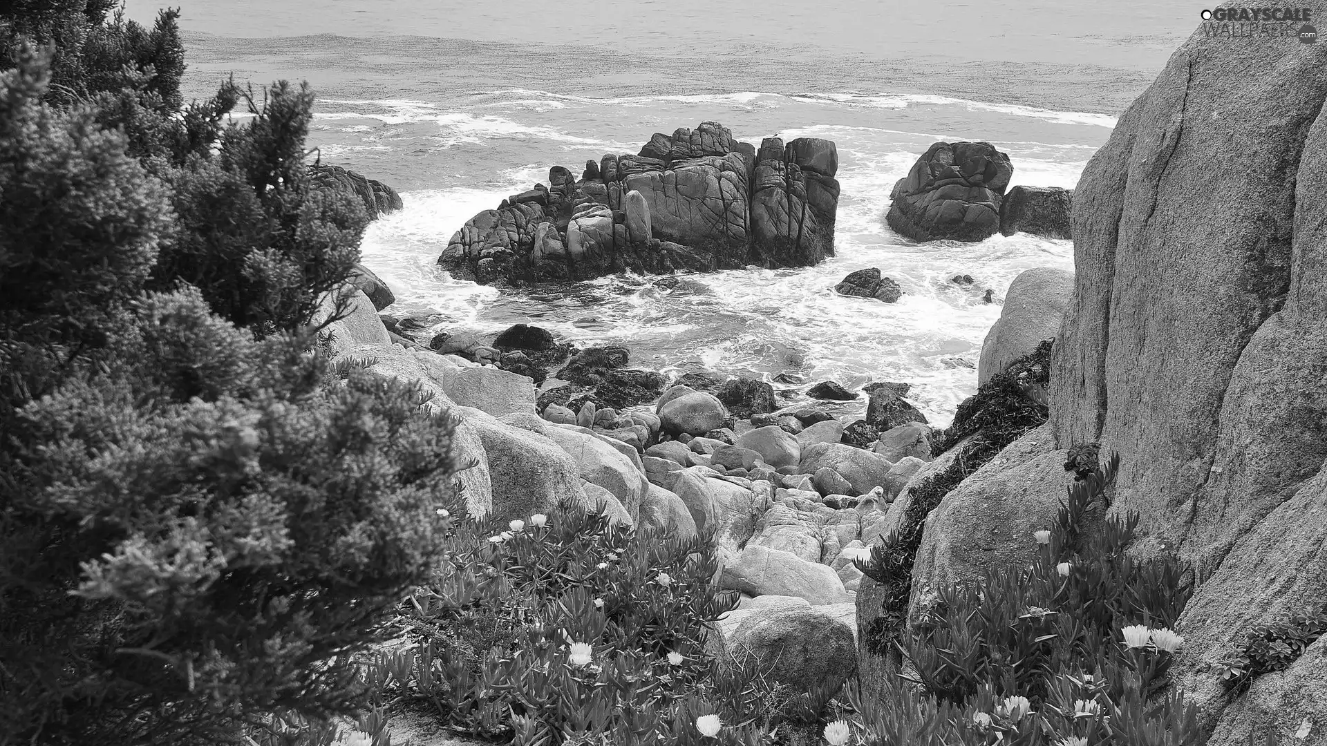 Stones, Bush, Waves, rocks, sea