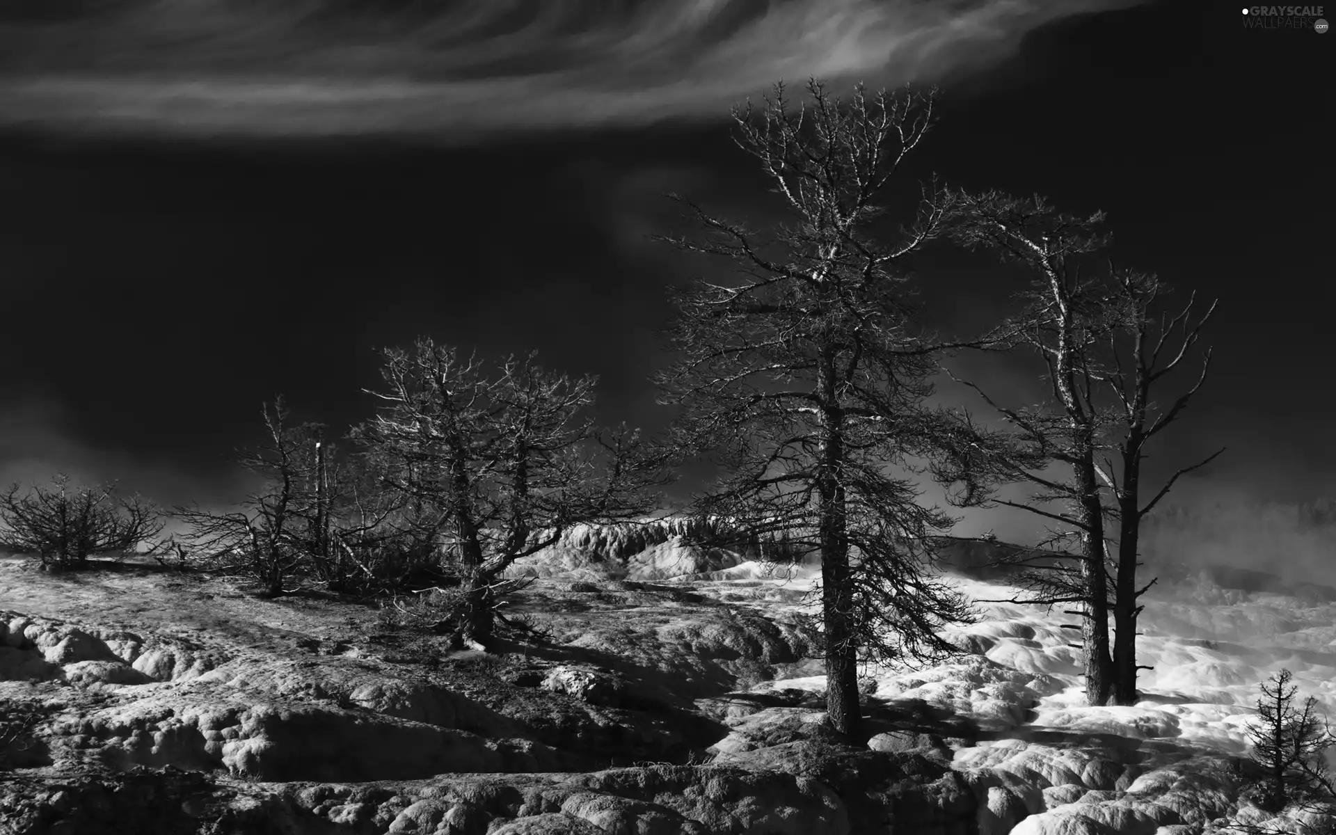 Stones rocks, cliff, trees, viewes, dry