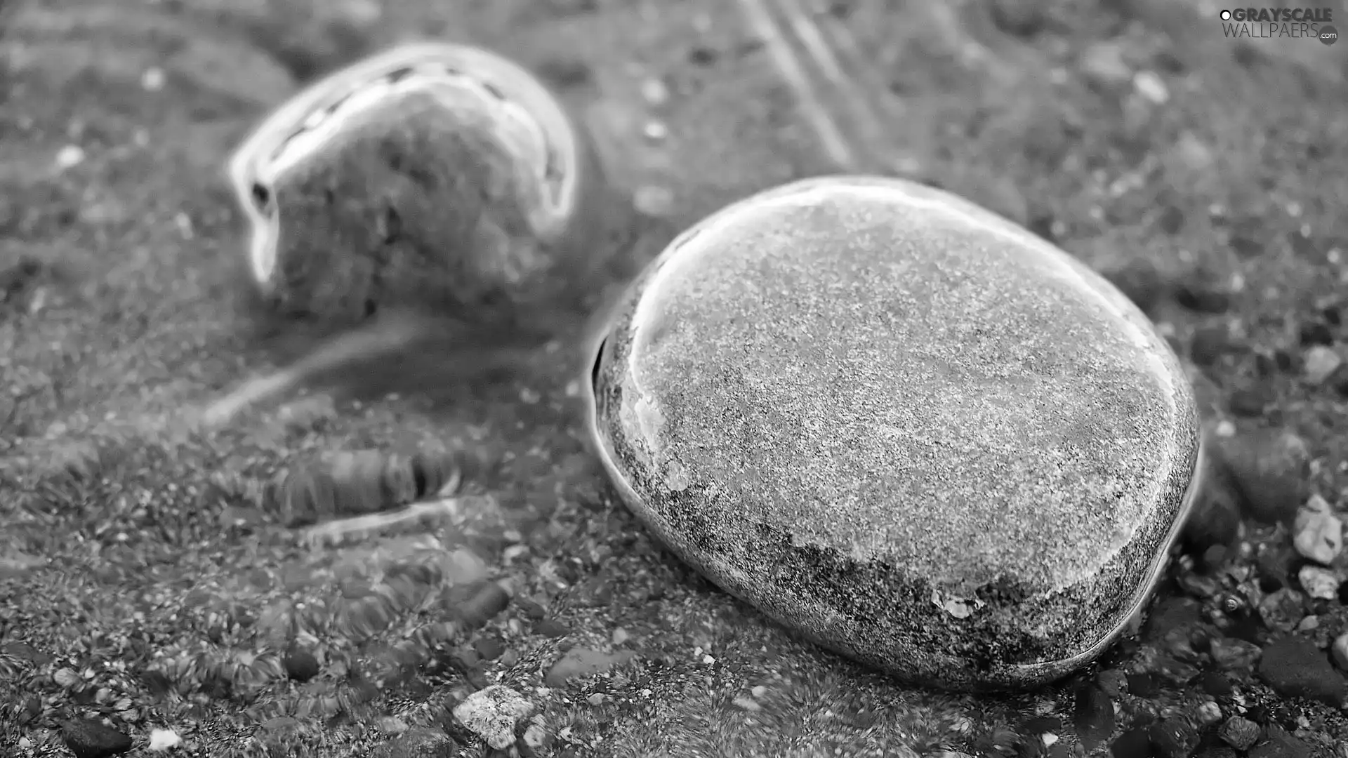 coast, Sand, Stones, Sea