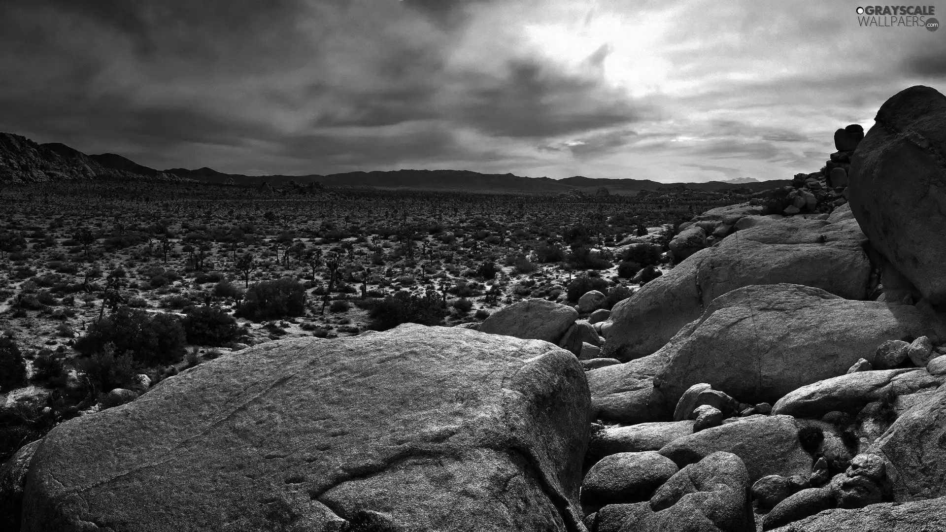 Desert, Stones